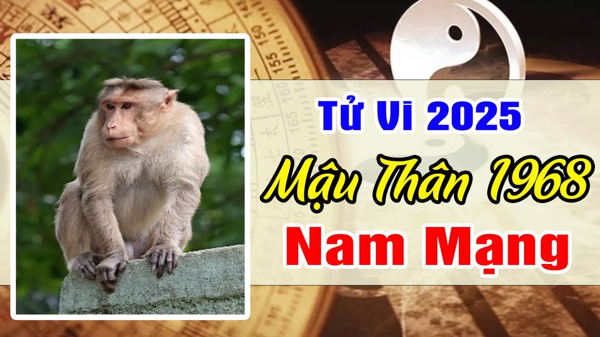 Xem tử vi tuổi Mậu Thân 1968 - Nam mạng năm 2025 CHI TIẾT NHẤT
