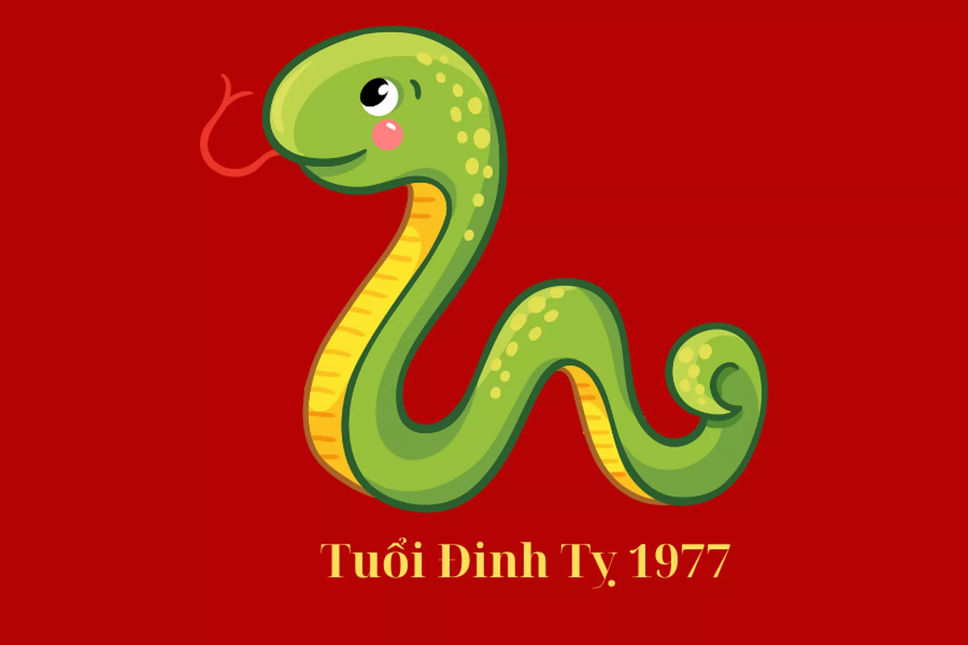 Tuổi Đinh Tỵ 1977 hợp màu gì, kỵ màu gì nhất năm 2025?