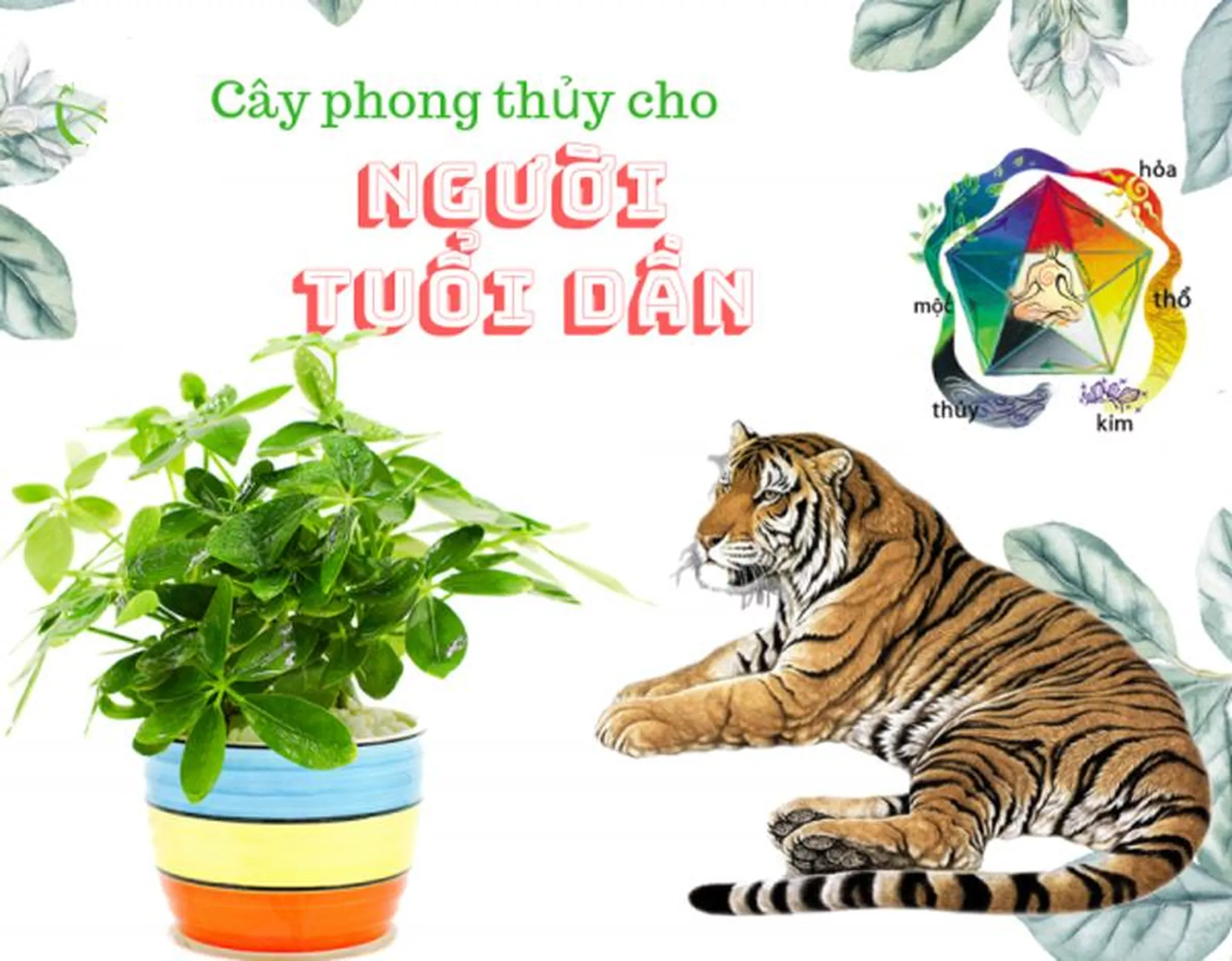 Tuổi Nhâm Dần 1962 trồng cây gì hợp phong thủy?