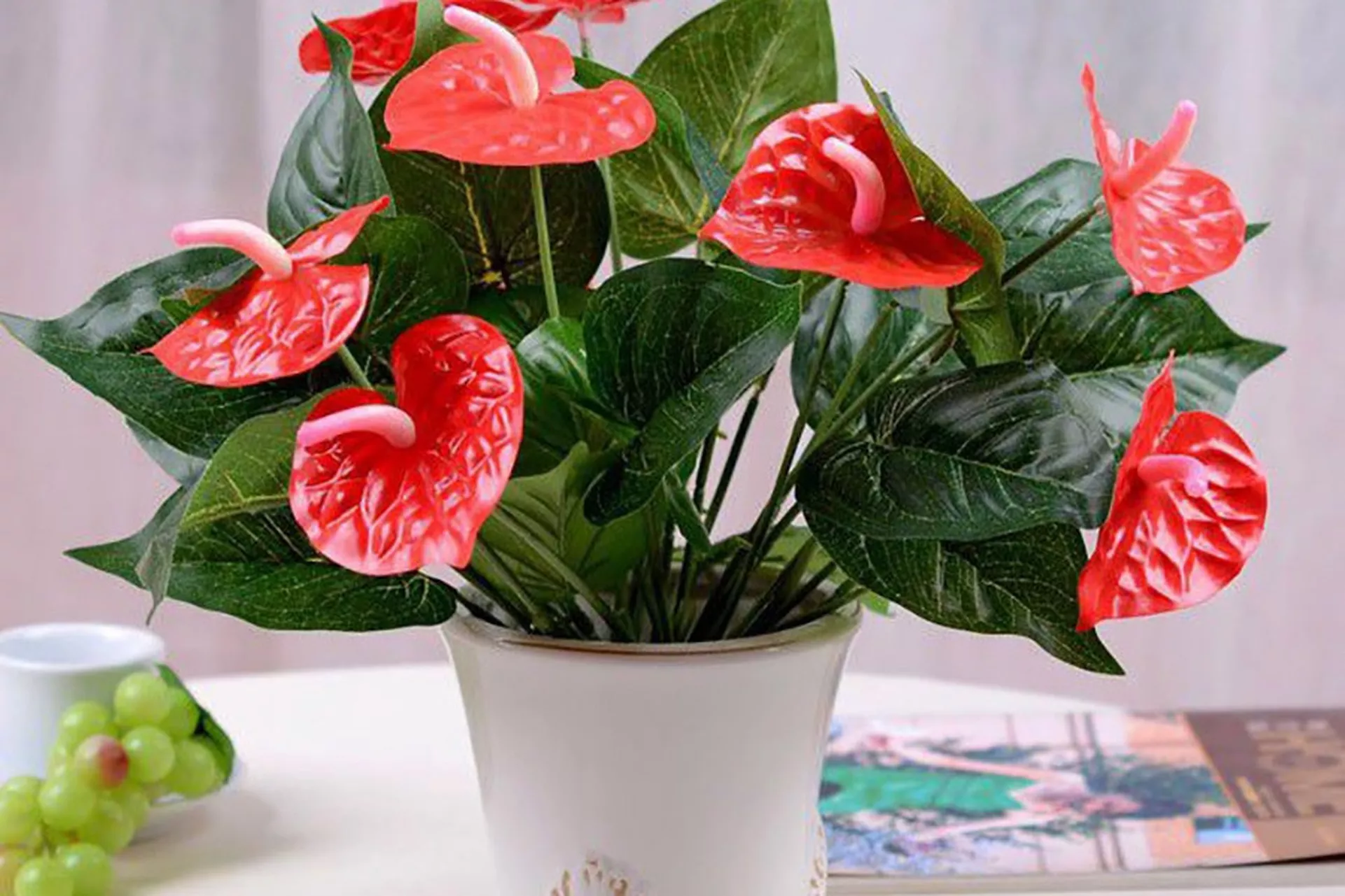 Tuổi Bính Dần 1986 trồng cây gì hợp phong thủy?