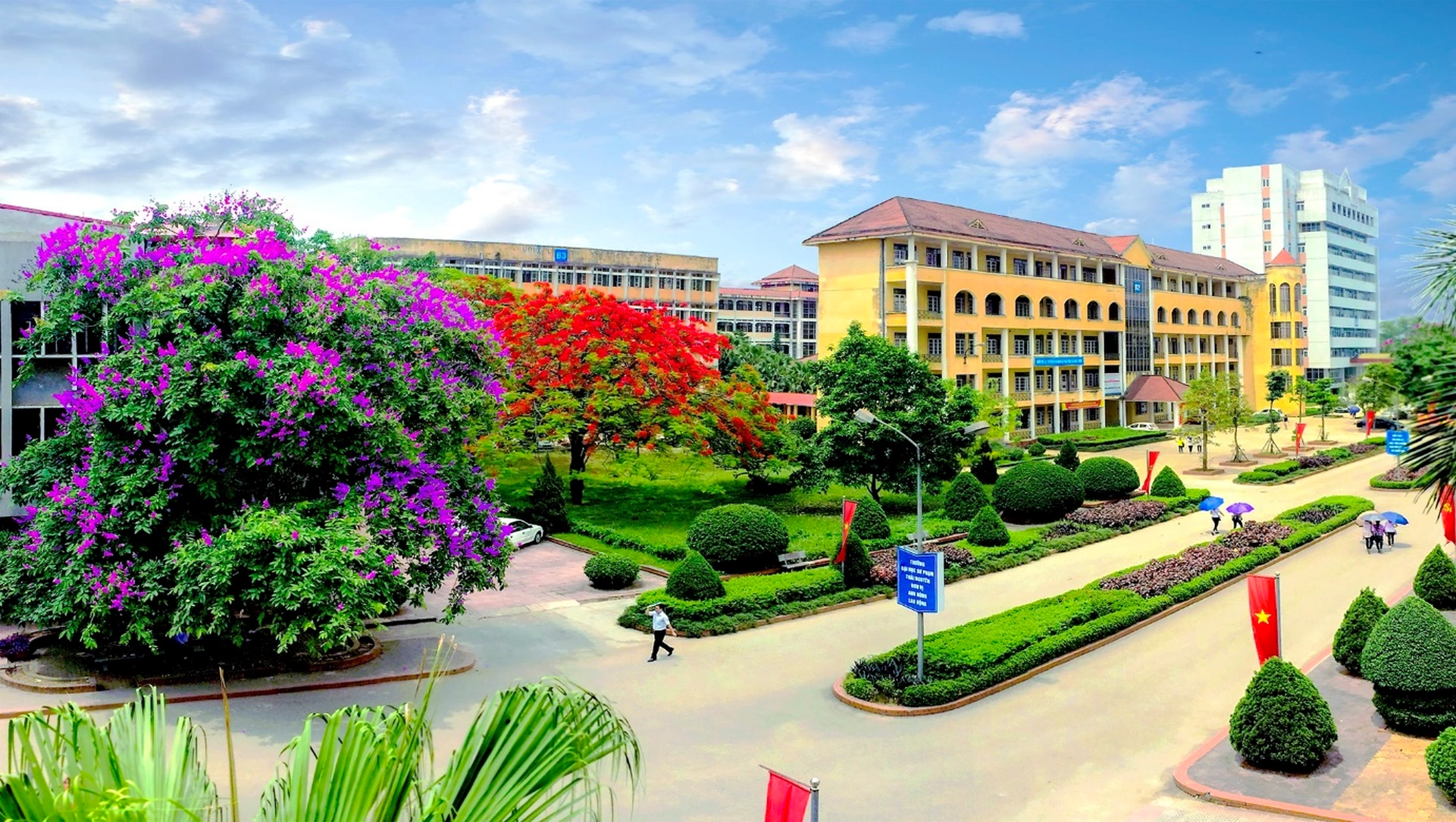 Chung cư cao cấp nào gần Trường Đại học Sư phạm Thể dục Thể thao TP.HCM, quận 5?