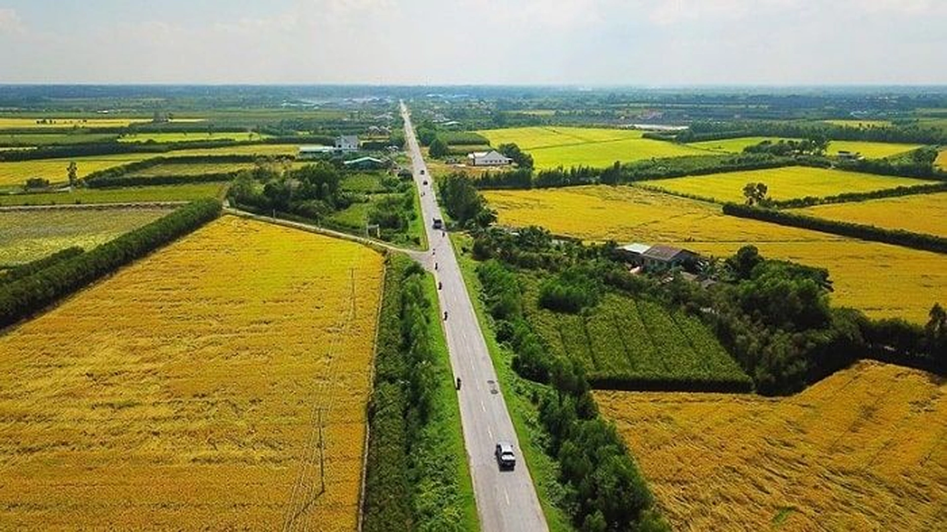 Đất 03 là gì? Quy định về chuyển đổi đất 03 sang đất ở