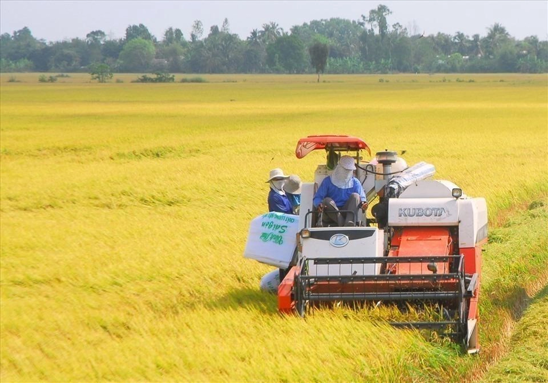 Đất nông nghiệp hết hạn có được bồi thường không? 
