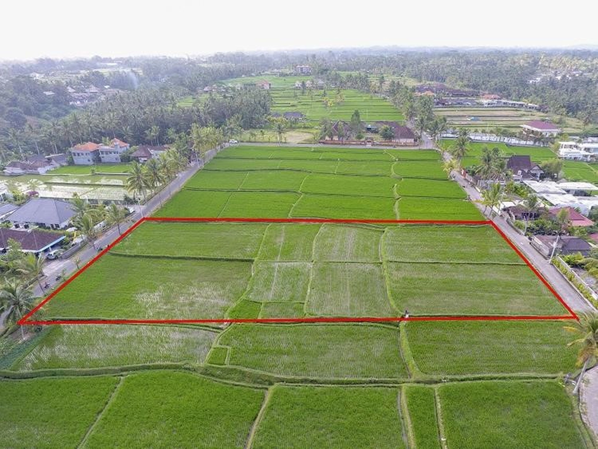 1ha bằng bao nhiêu m2? Mẹo quy đổi ha sang các đơn vị đo khác dễ dàng nhất