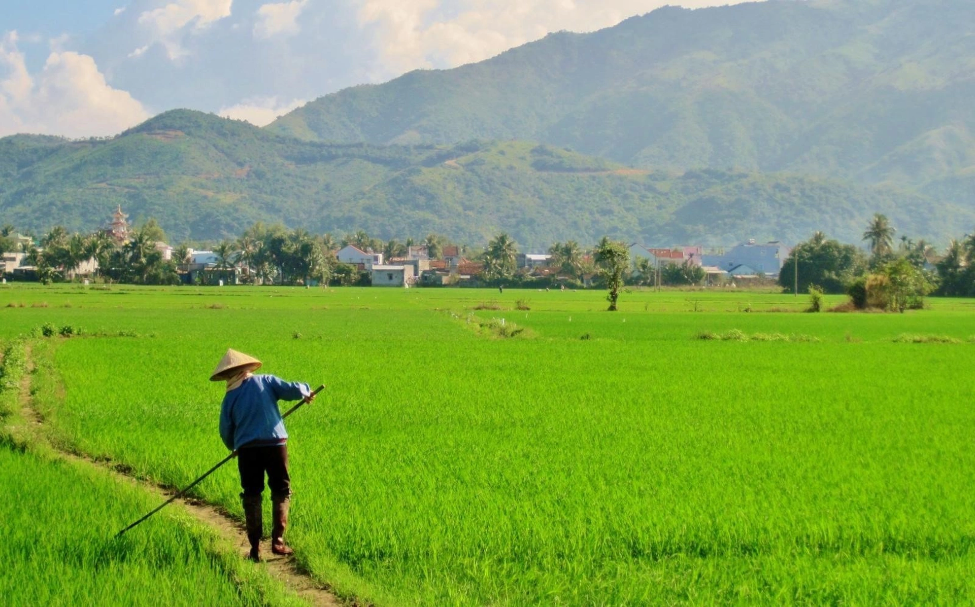 Có được phép xây nhà trên đất ruộng không?