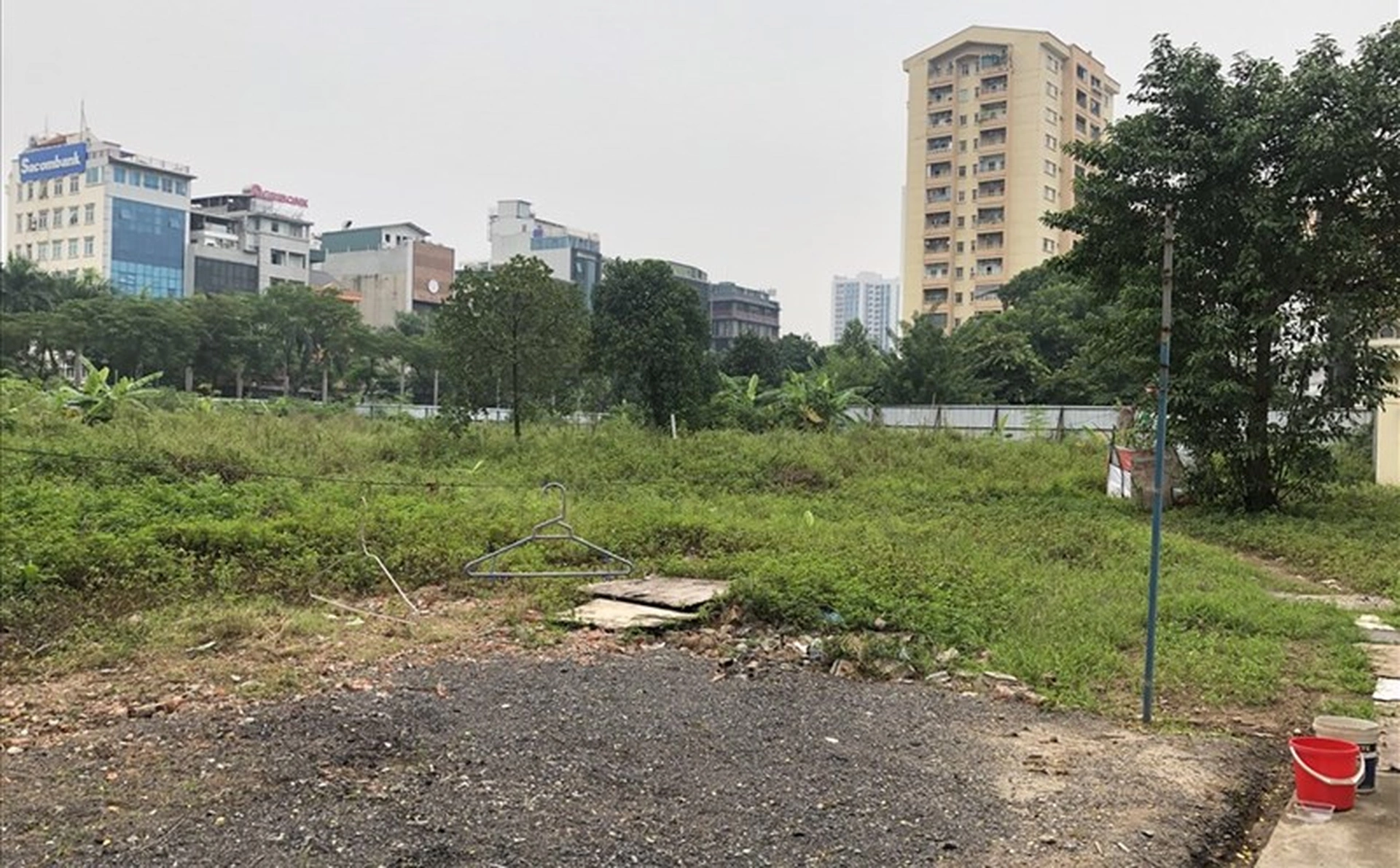 Bỏ hoang đất trồng cây lâu năm thì bao lâu sẽ bị thu hồi?
