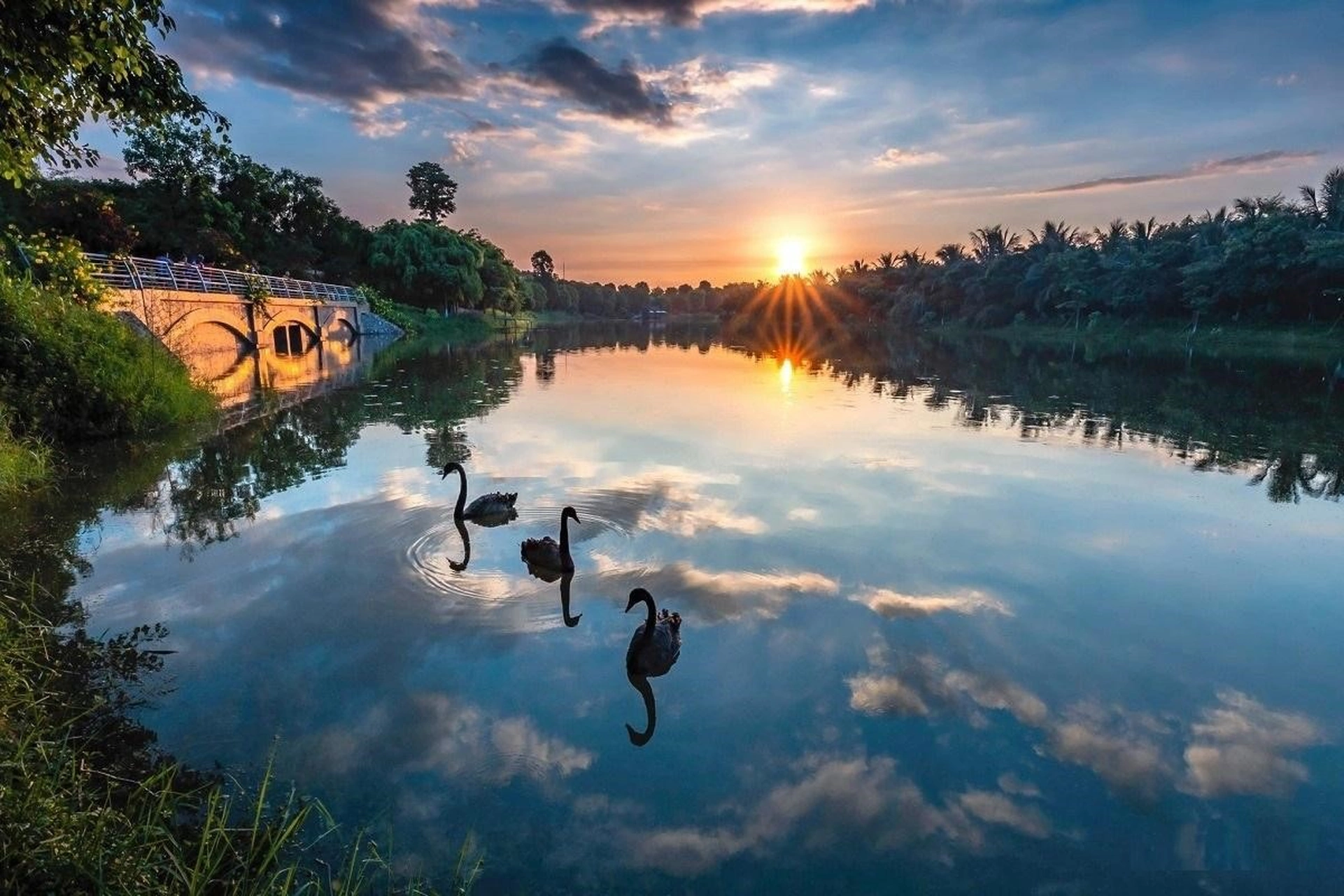 Công viên Hồ Thiên Nga Ecopark địa chỉ cụ thể ở đâu? Hướng dẫn cách đi