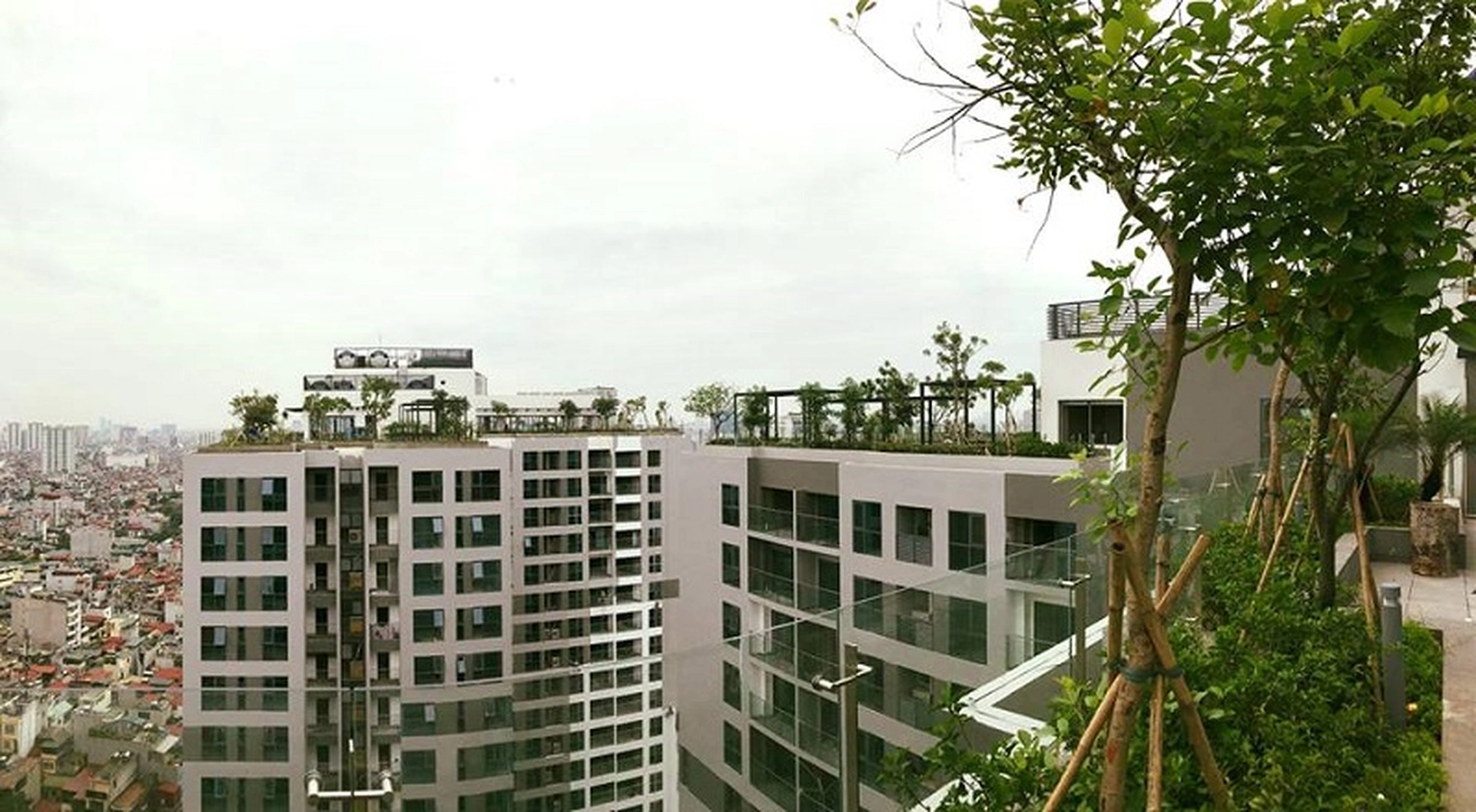 So sánh biến động giá của căn hộ chung cư 57 Vũ Trọng Phụng và Rivera Park