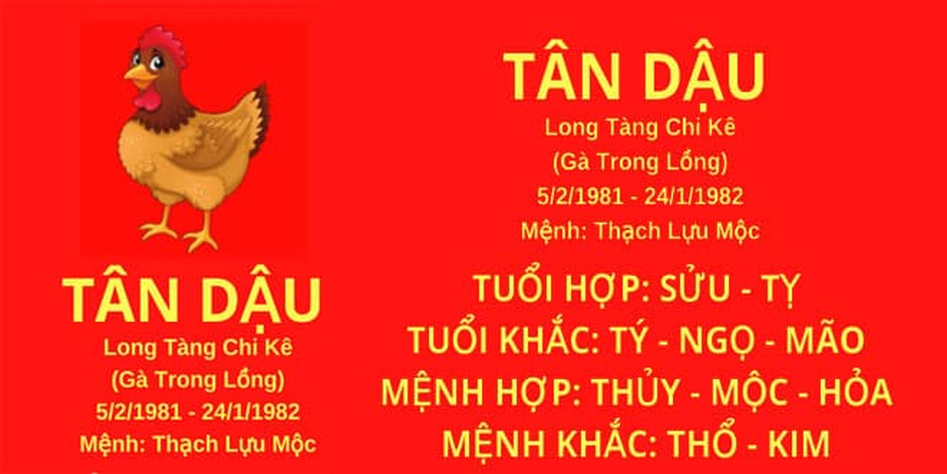 Xem tử vi tuổi Tân Dậu 1981 - Nam mạng năm 2025 CHI TIẾT NHẤT