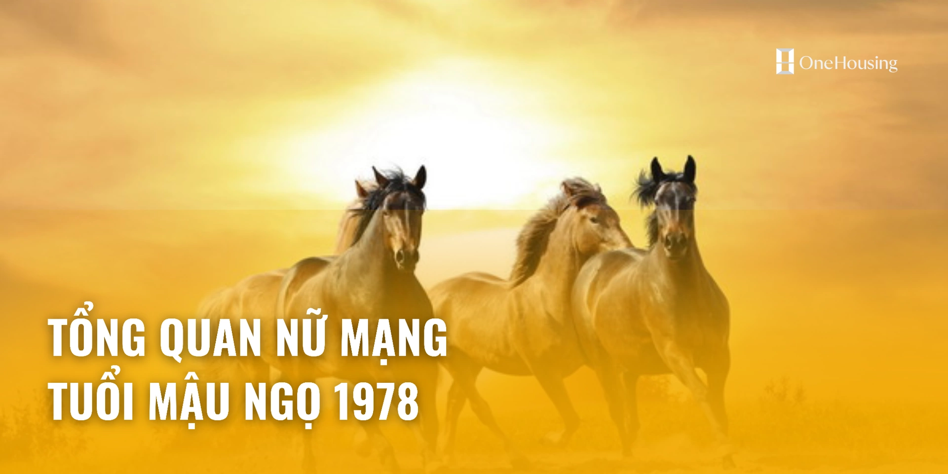Xem tử vi tuổi Mậu Ngọ 1978 - Nữ mạng năm 2024 CHI TIẾT NHẤT