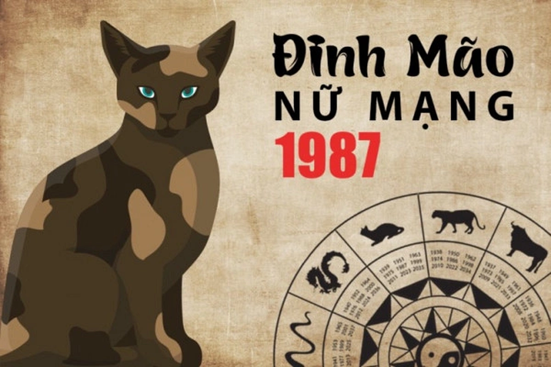 Xem tử vi tuổi Đinh Mão 1987 - Nữ mạng năm 2024 CHI TIẾT NHẤT