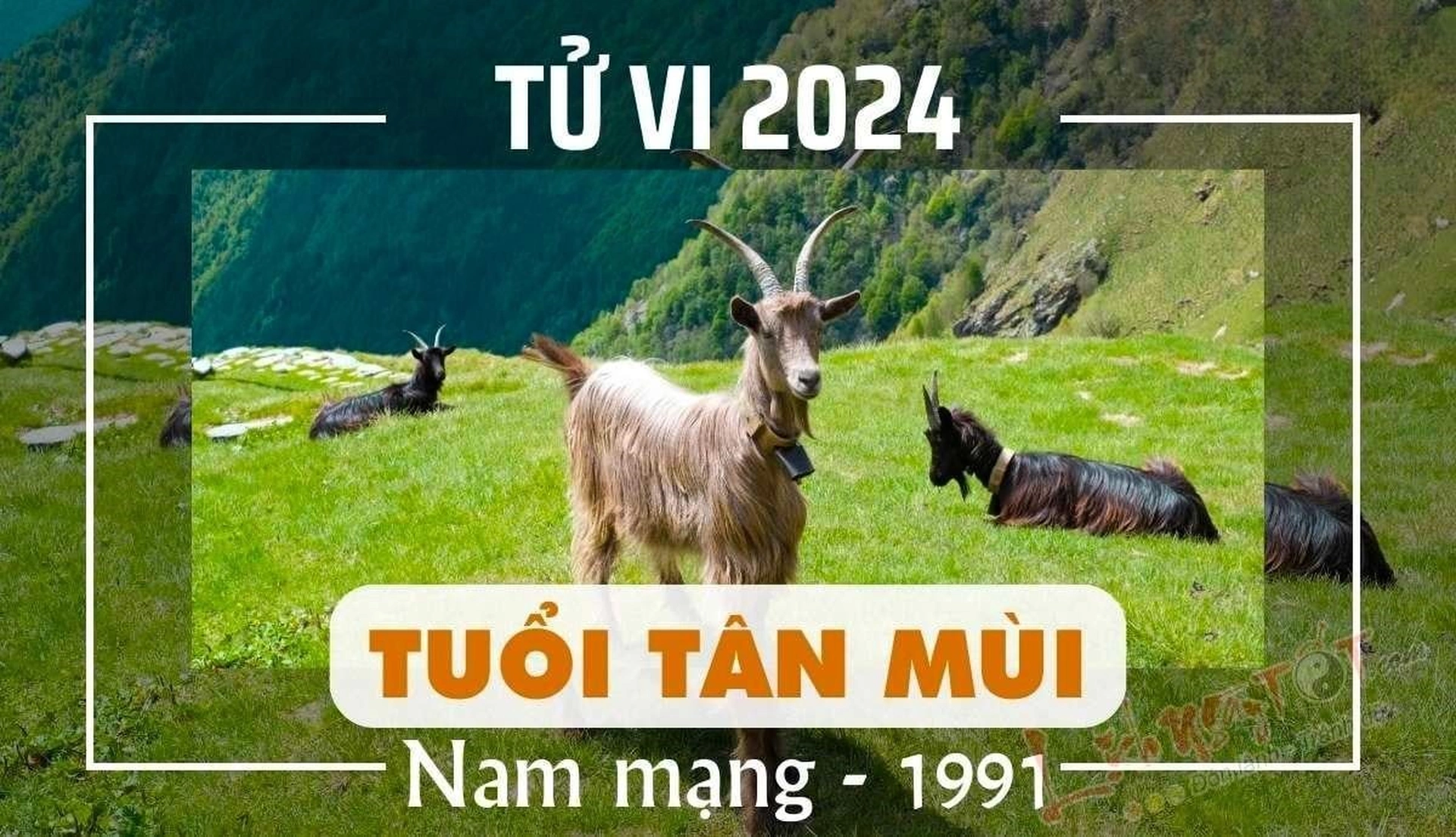 Xem tử vi tuổi Tân Mùi 1991 - Nam mạng năm 2024 CHI TIẾT NHẤT