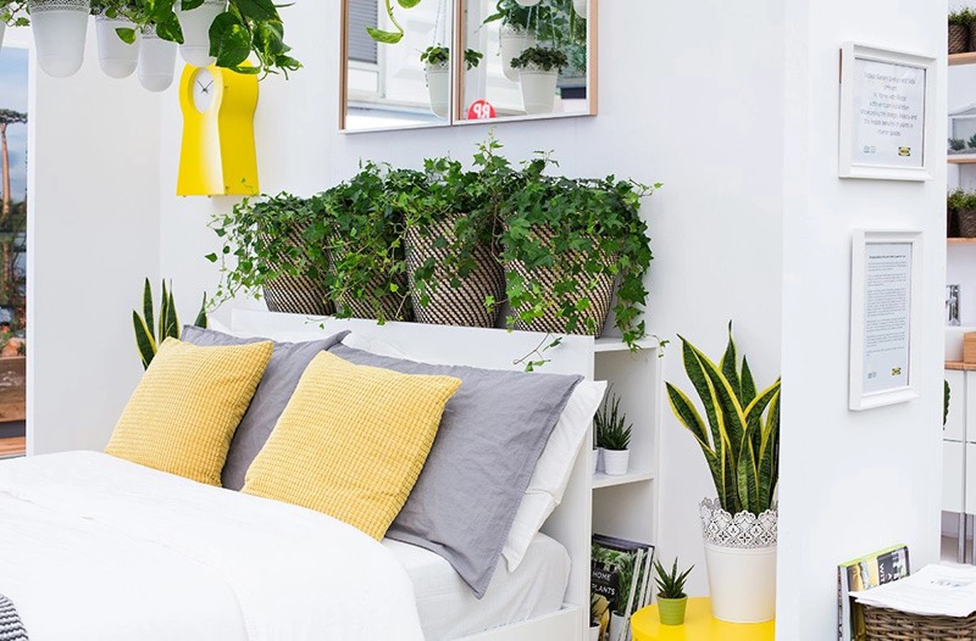 3 vị trí đặt cây cảnh cần tránh để đảm bảo sức khỏe và thẩm mỹ