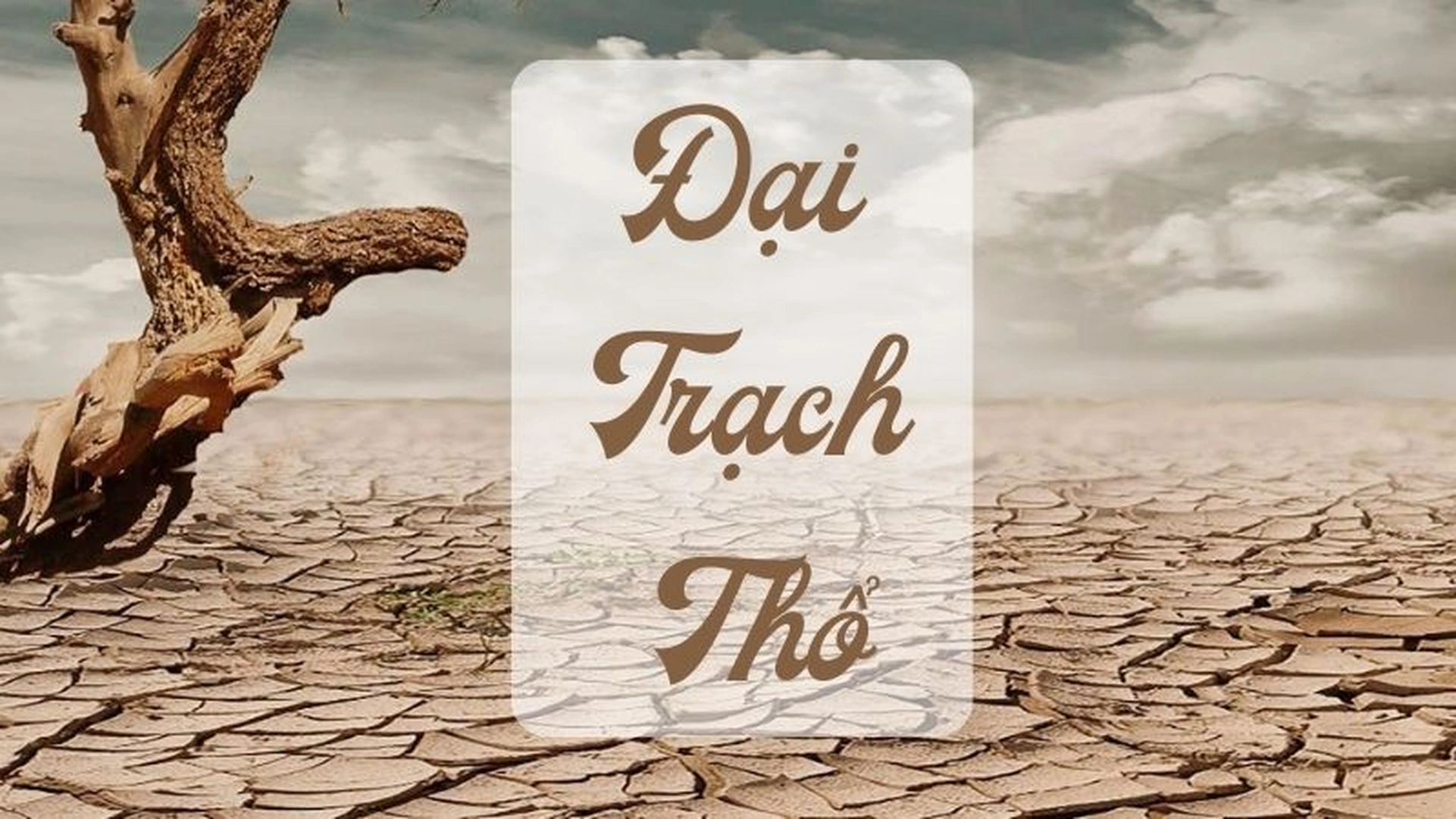 Người sinh năm 1969 Kỷ Dậu thuộc mệnh và cung mệnh gì?