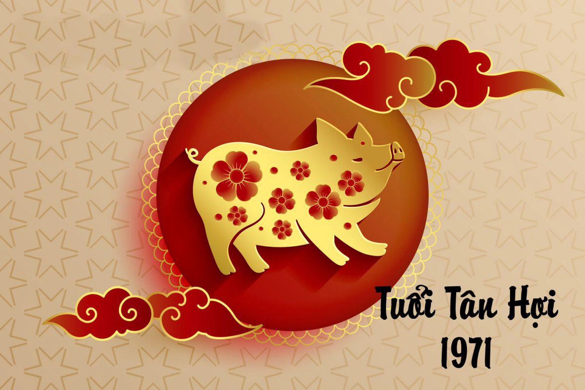 Người sinh năm 1971 Tân Hợi phù hợp với những con số nào?