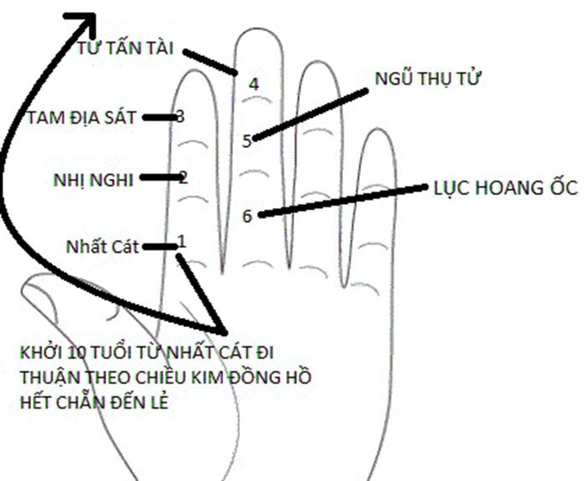 Năm 2025 con giáp nào phạm hoang ốc?
