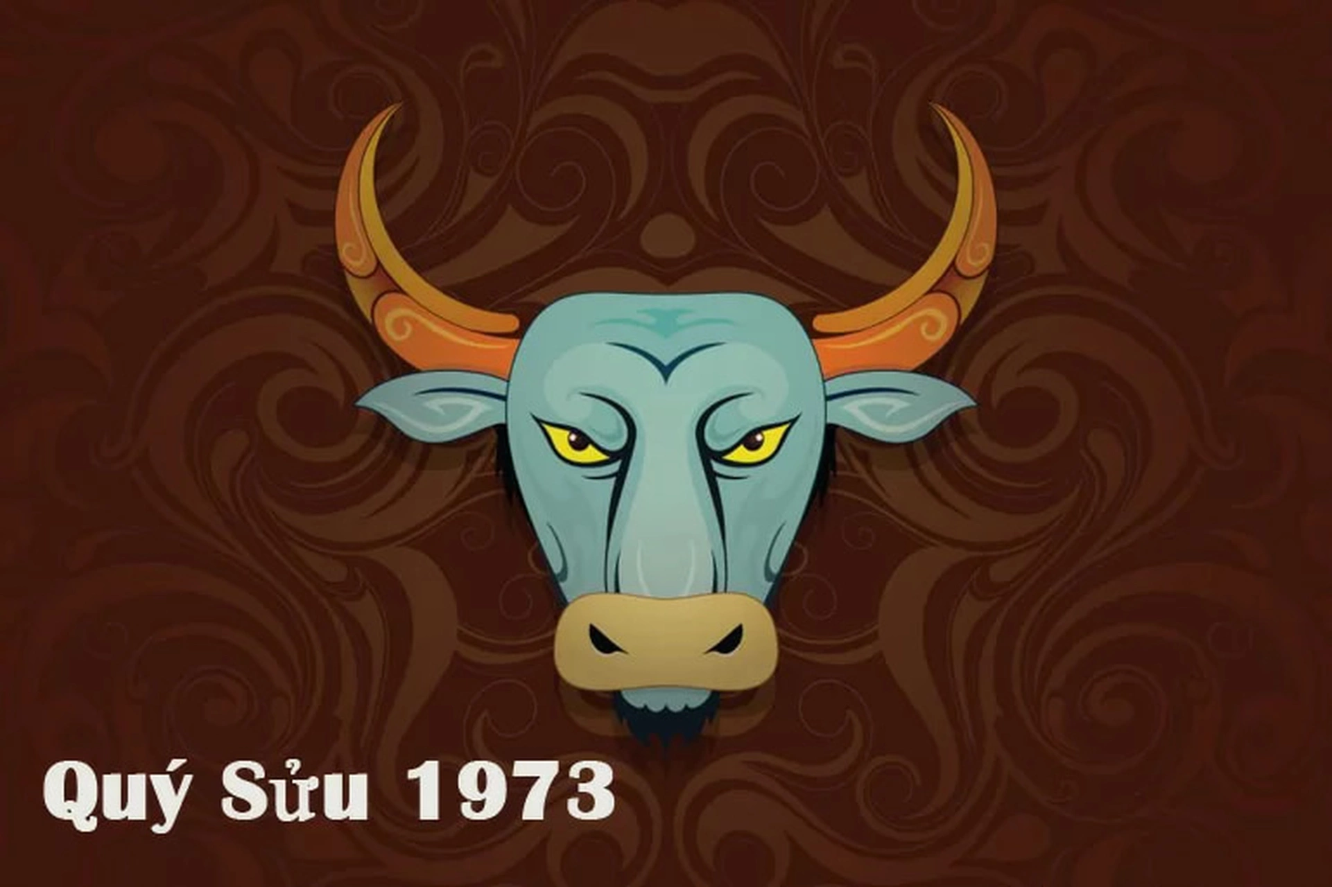Tuổi Quý Sửu 1973 nam mạng cần chú ý điều gì khi vào năm 51 - 60 tuổi?