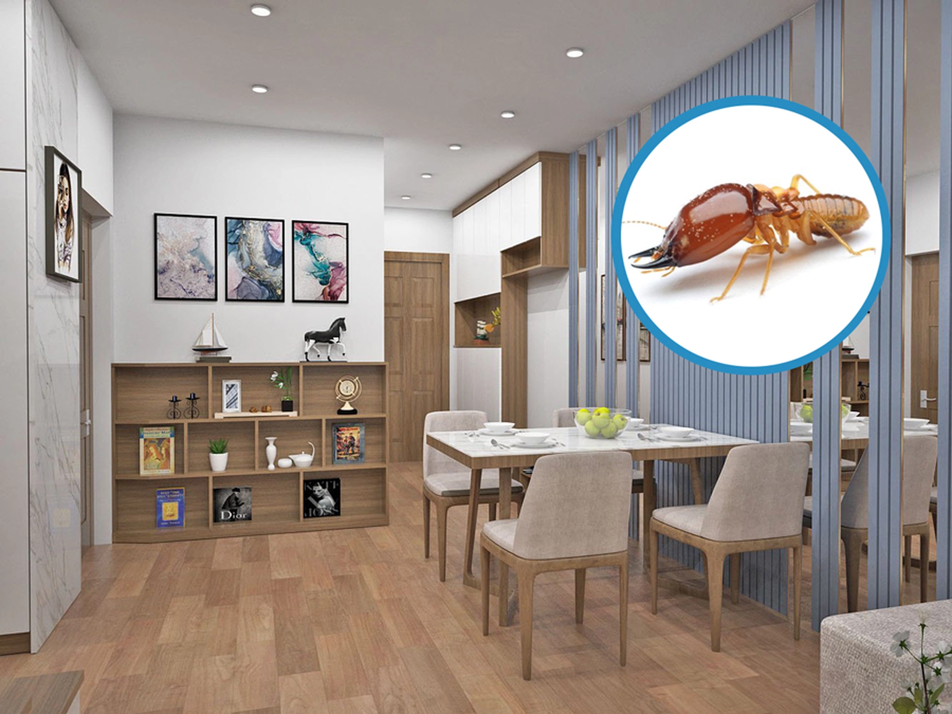Giải pháp phòng chống và xử lý hiệu quả vấn đề mối mọt trên nội thất gỗ sồi