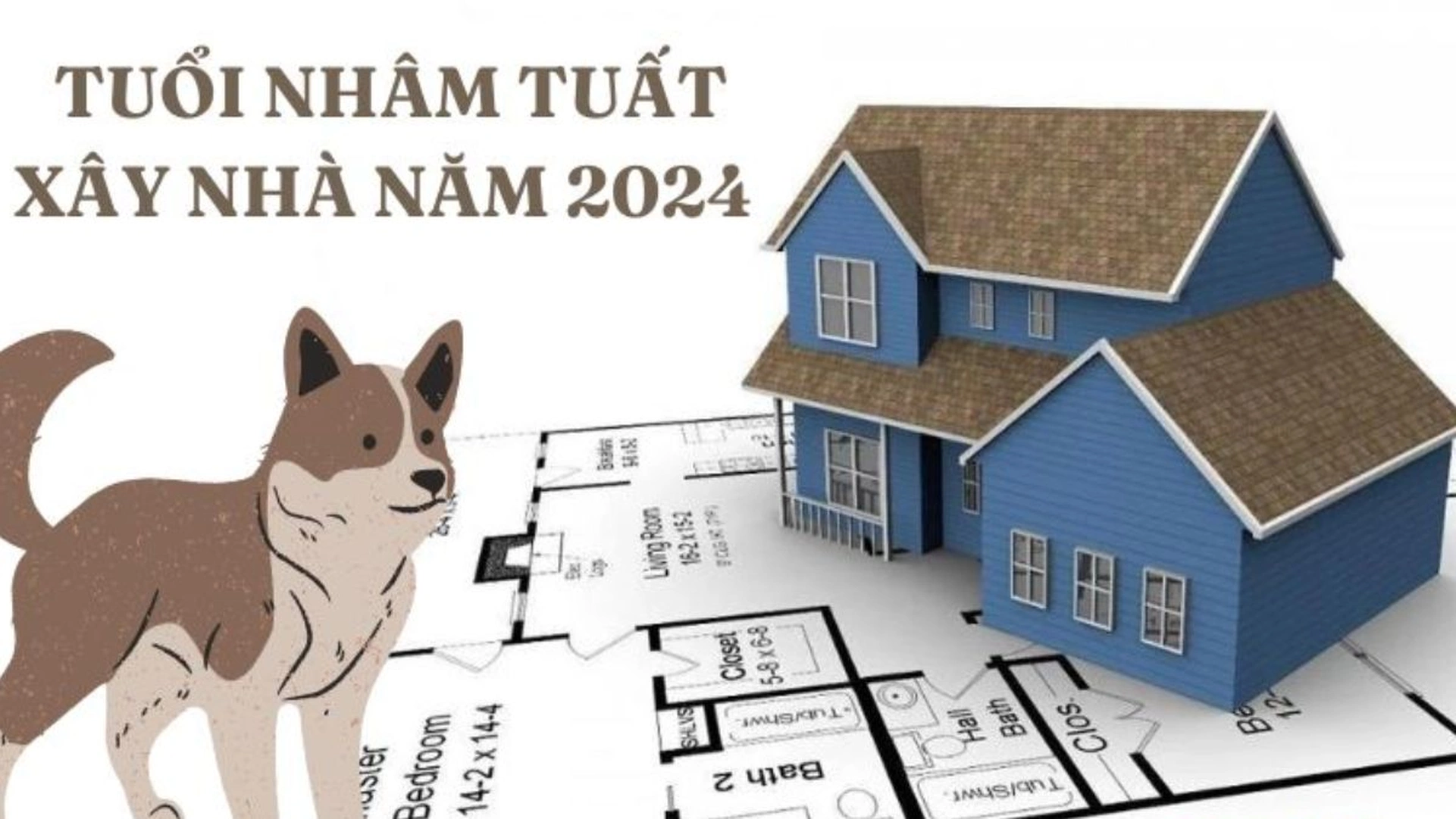 Ngày tốt tháng 10 năm 2024 để làm mọi việc thuận lợi, suôn sẻ cho người sinh năm 1982 Nhâm Tuất