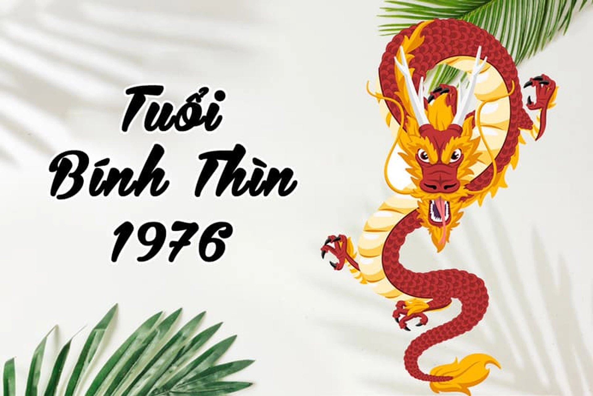 Ngày tốt tháng 9 năm 2024 để làm mọi việc thuận lợi, suôn sẻ cho người sinh năm 1976 Bính Thìn