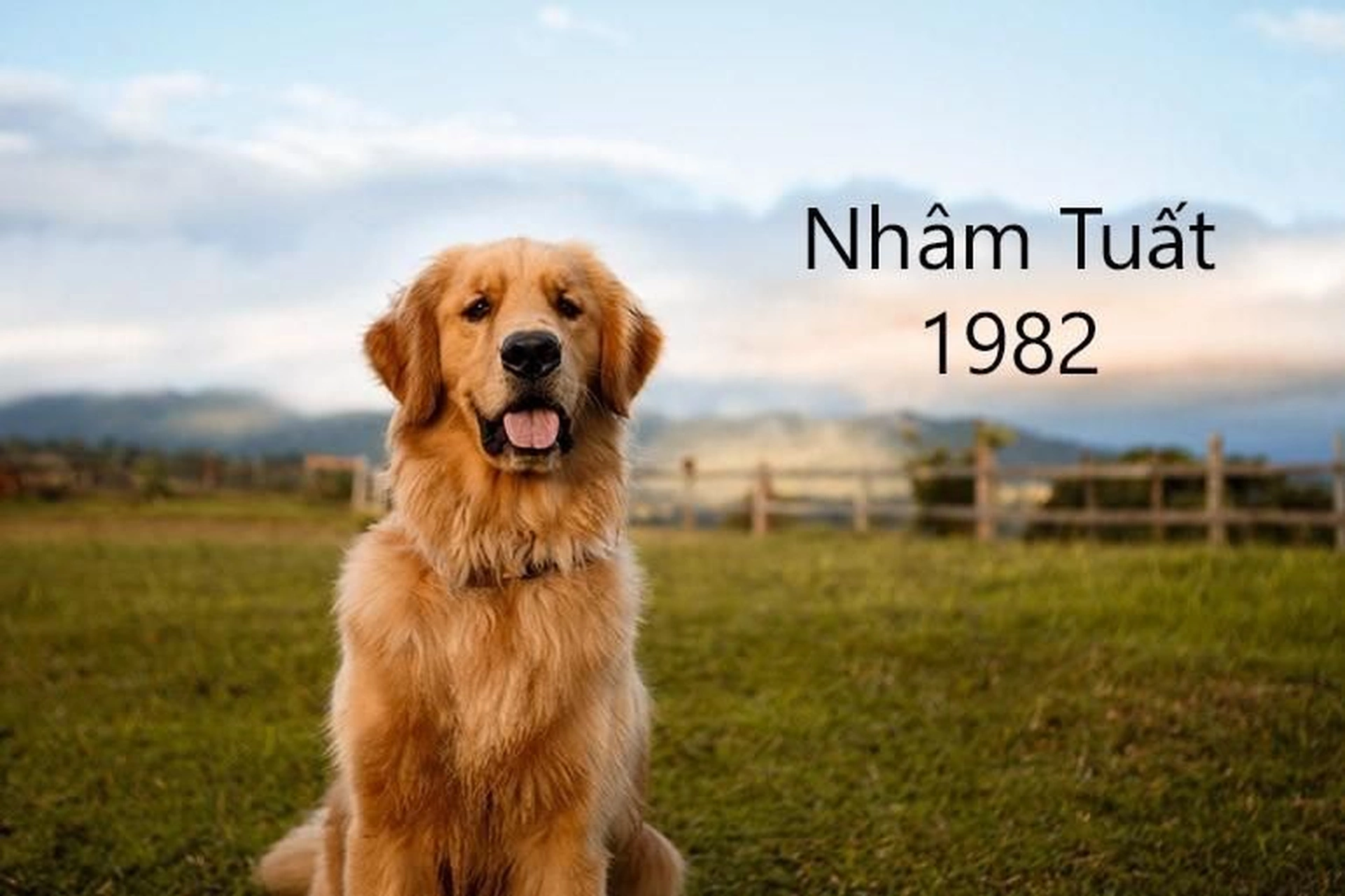 Nam mạng tuổi Nhâm Tuất 1982 nên chú gì những gì ở giai đoạn 51 - 55 tuổi?