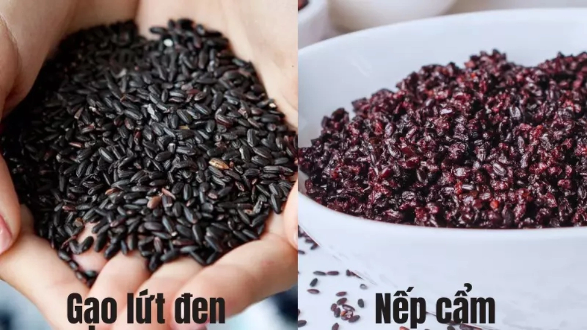 Gạo lứt đen hay gạo nếp cẩm tốt hơn?