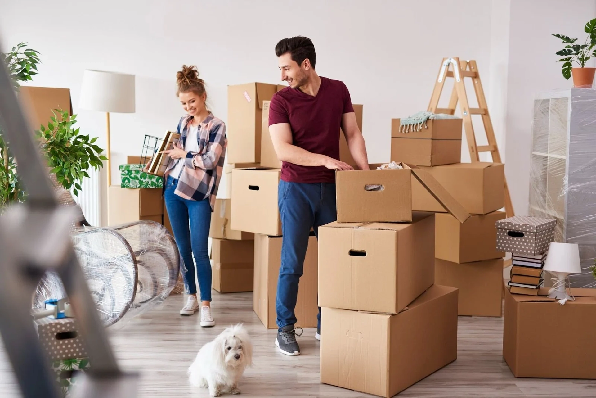 Ngày tốt tháng 2 năm 2025 cho tuổi Kỷ Tỵ nhập trạch là ngày nào?