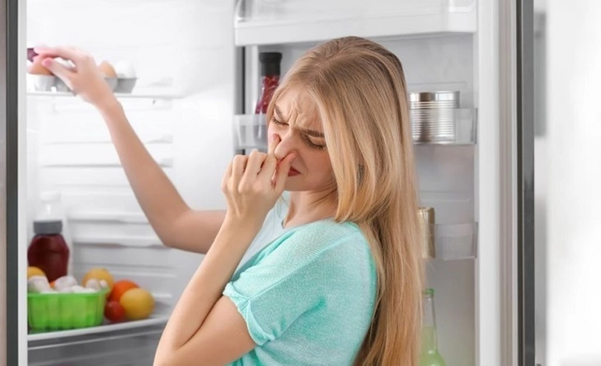 Tủ lạnh có mùi hôi là do đâu?