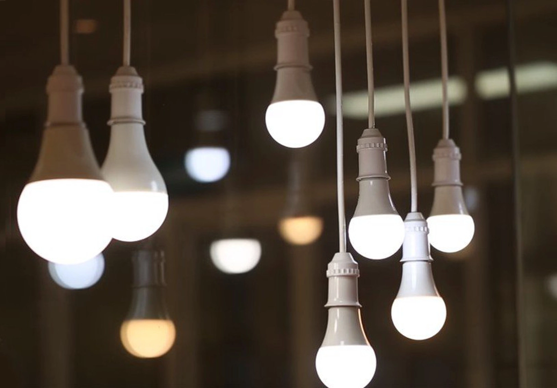 Bóng đèn LED có phải là thiết bị tiết kiệm điện hiệu quả không?
