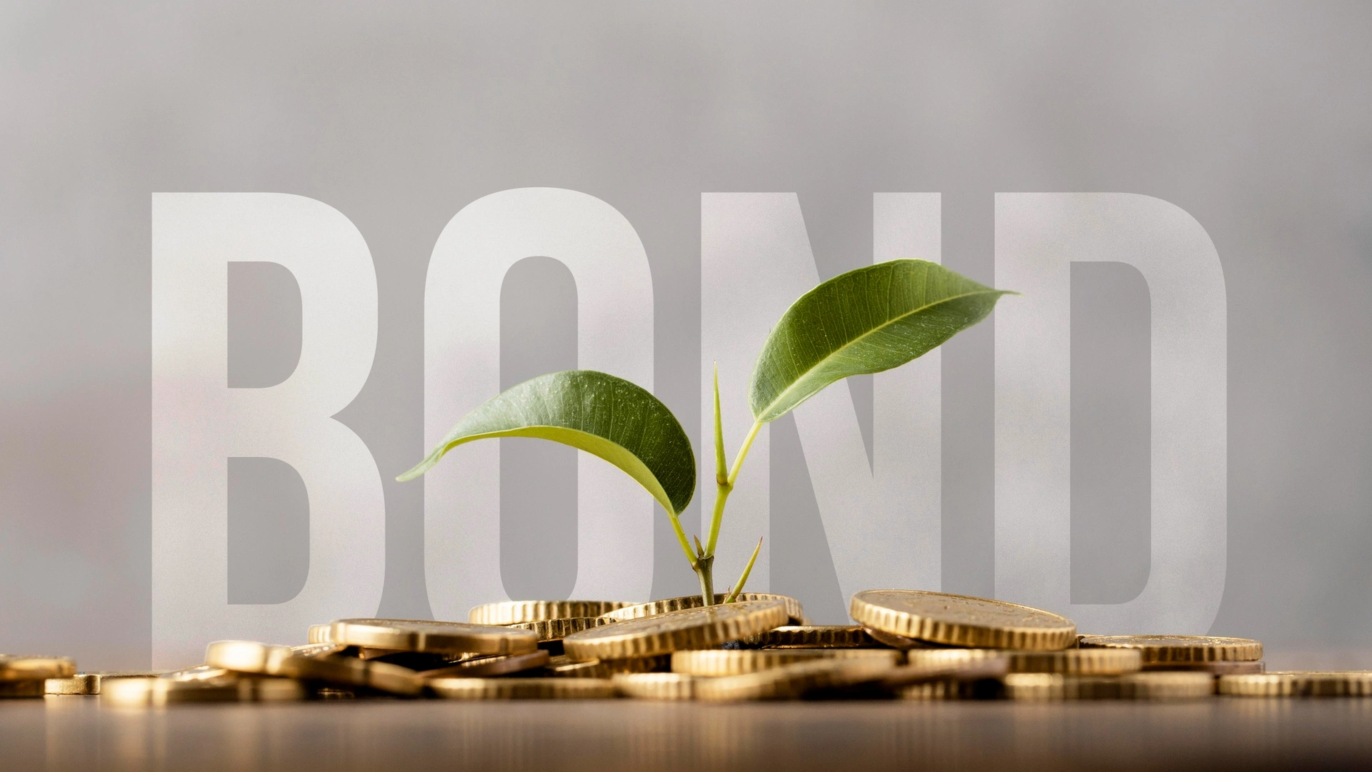Tại sao nên đầu tư trái phiếu doanh nghiệp GBond tại bảng giá chứng khoán MBS?