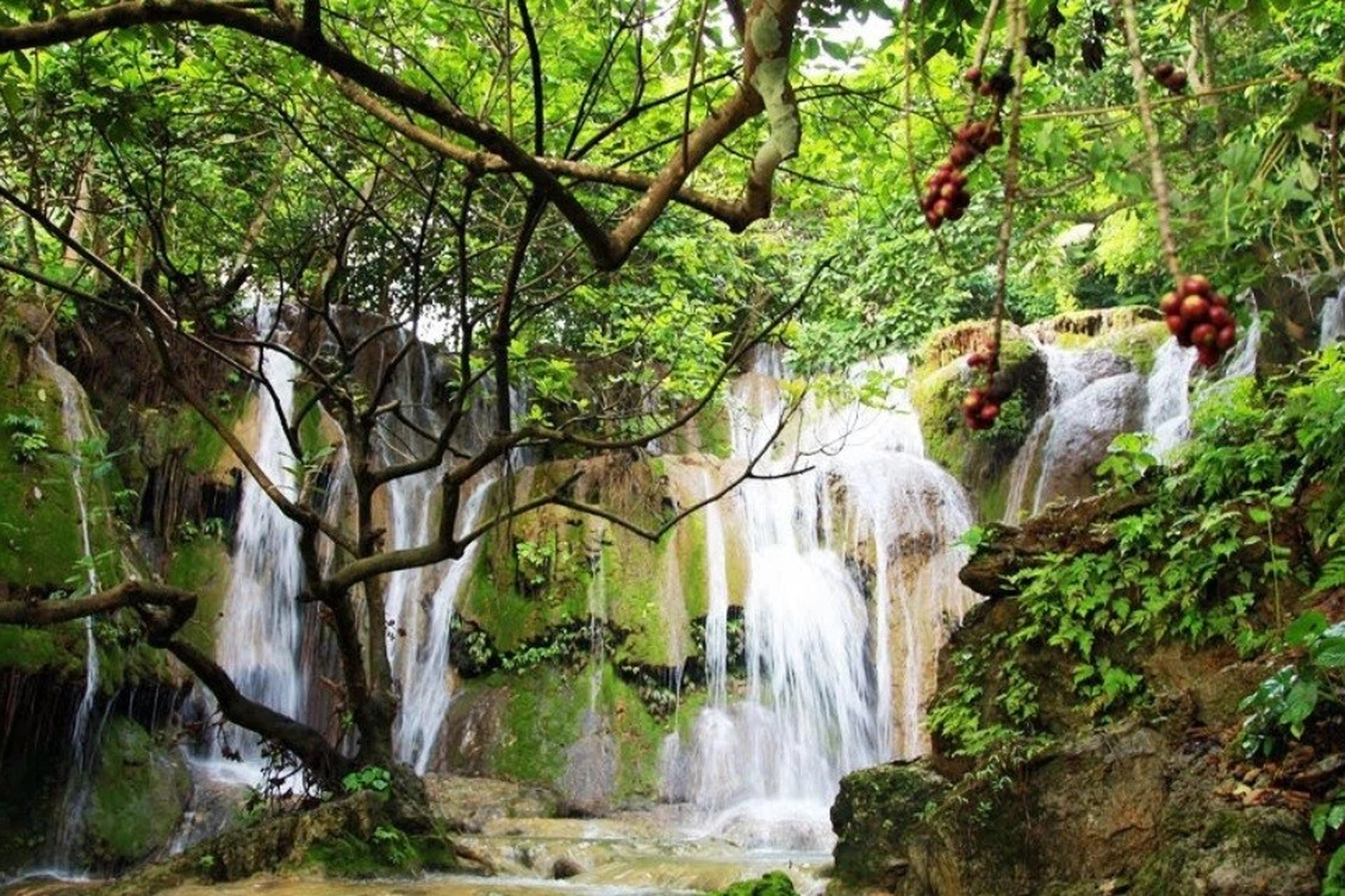 Cập nhật bản đồ quy hoạch huyện Thạch Thành Thanh Hóa mới nhất