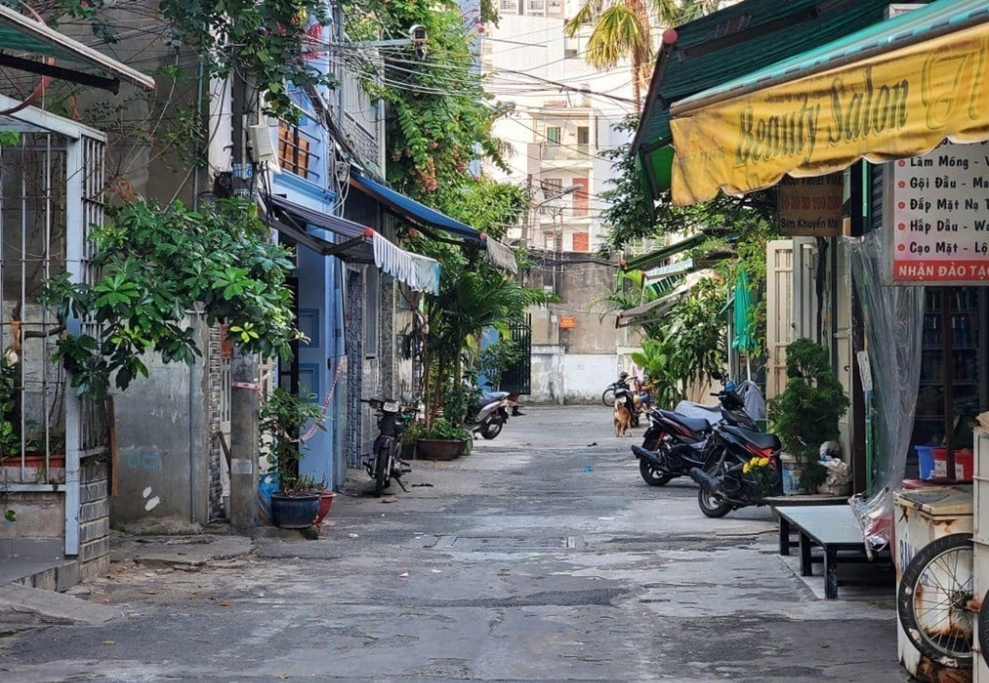 Có những cách định giá nhà ở nào nhận biết bất động sản đang bị định giá thấp?