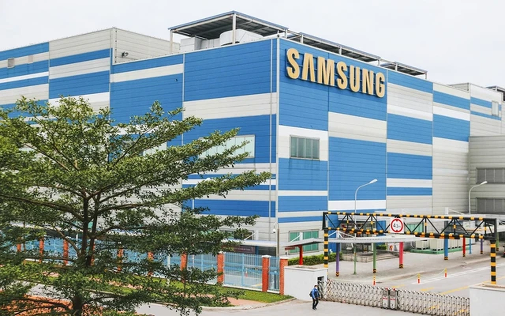 Tiềm năng bất động sản xã Thụy Hòa huyện Yên Phong Bắc Ninh và cơ hội đầu tư trong năm 2024