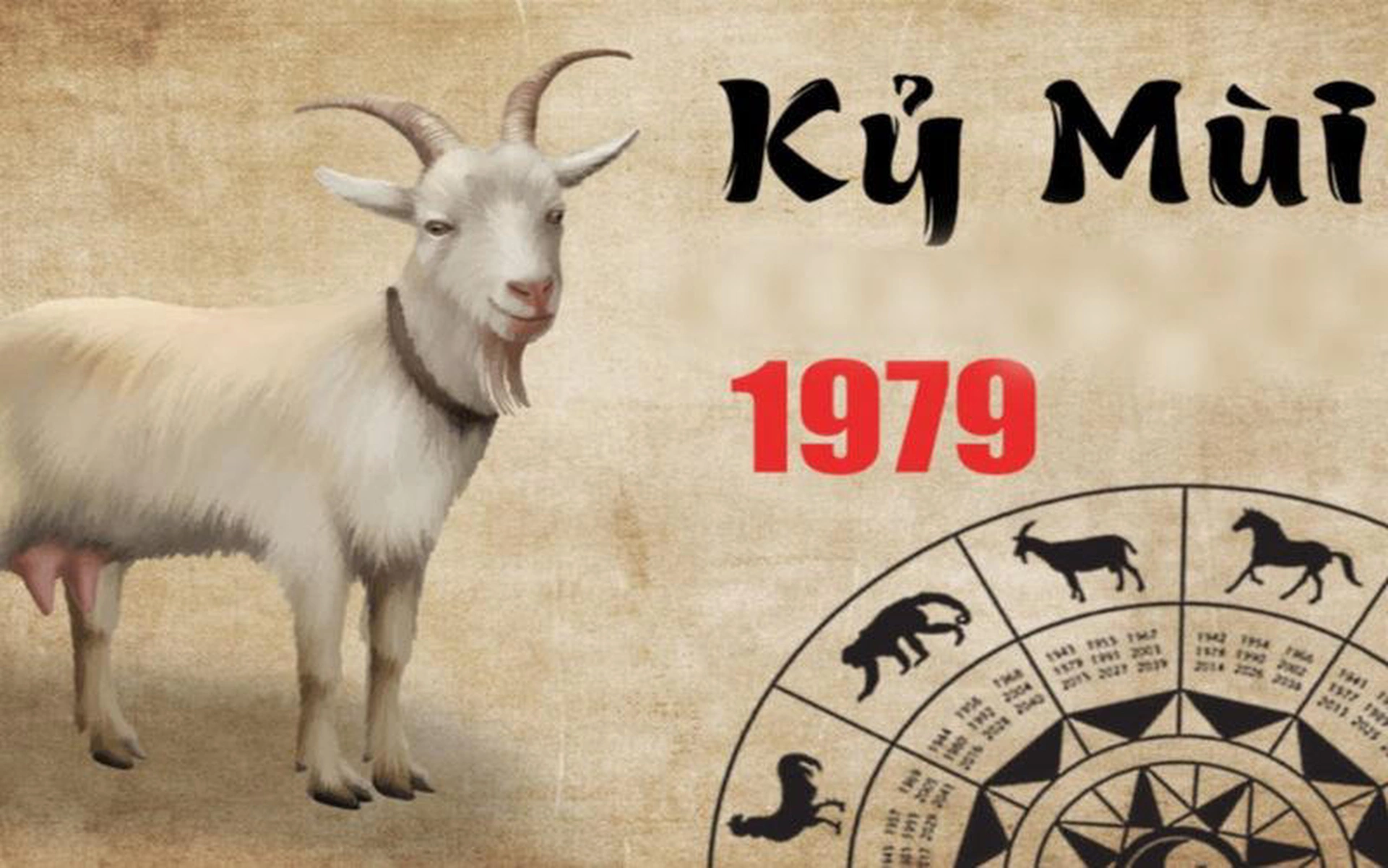 Tuổi Kỷ Mùi 1979 nên hợp tác làm ăn với tuổi nào trong năm 2025 để thành công lớn?