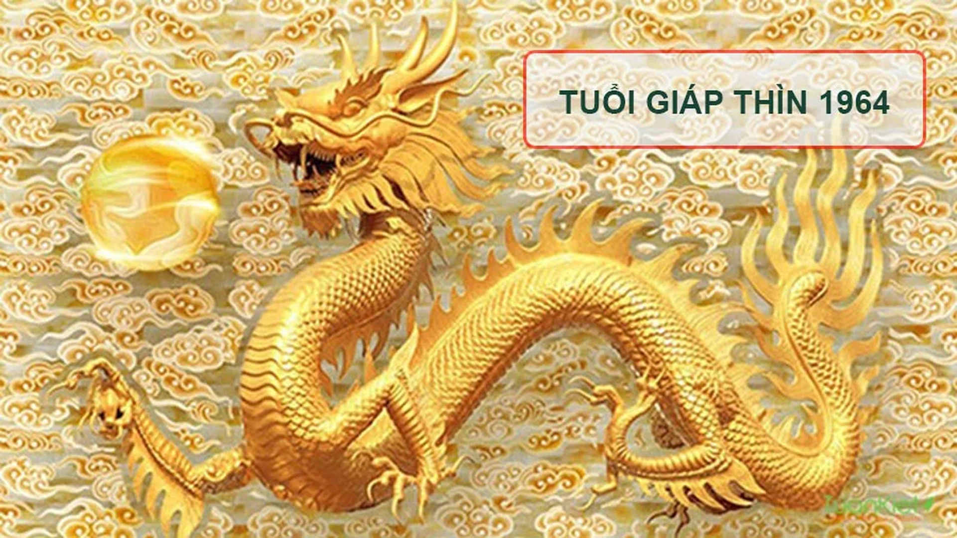Tuổi Giáp Thìn 1964 nên hợp tác làm ăn với tuổi nào trong năm 2025 để thành công lớn?