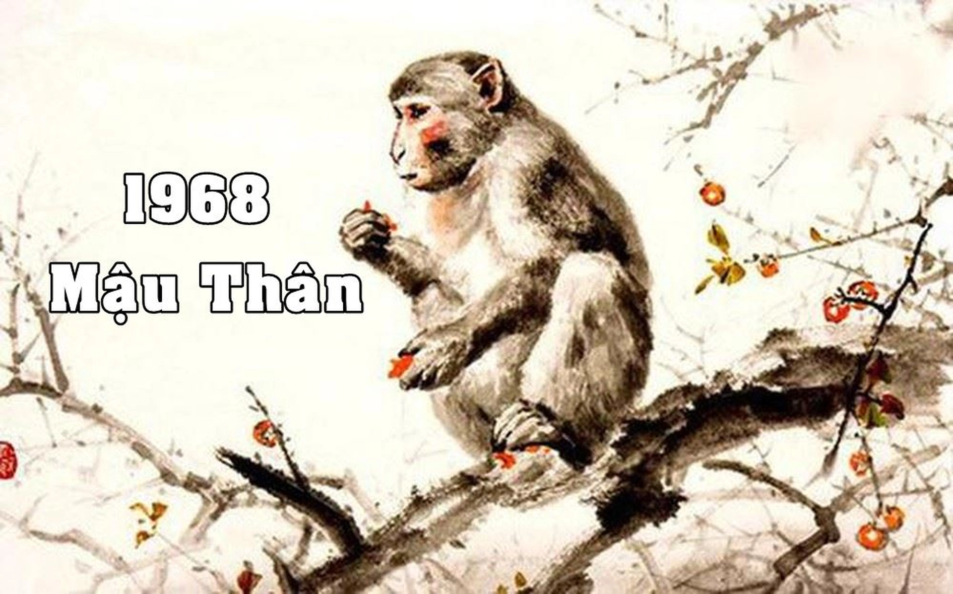 Tuổi Mậu Thân 1968 có gặp hạn Kim Lâu, Hoang Ốc, Tam Tai trong năm 2025 không?