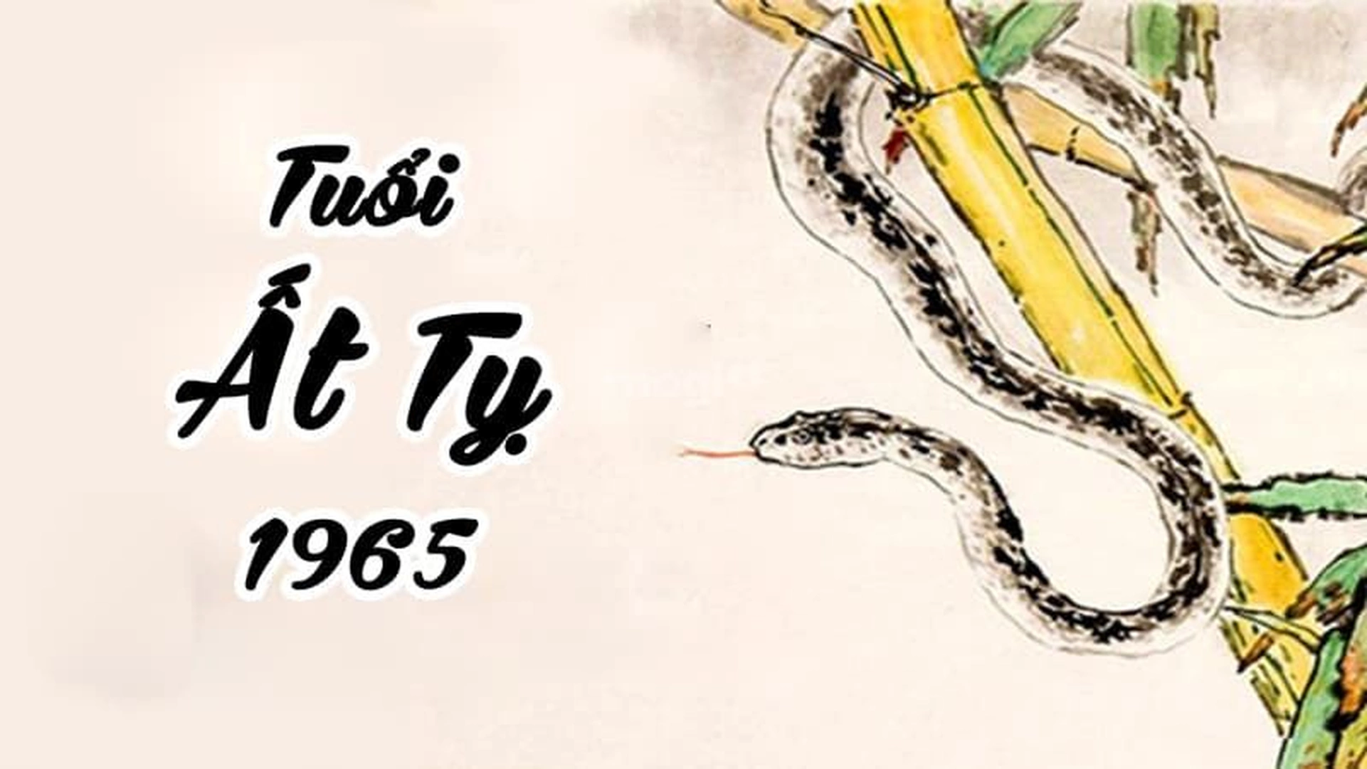 Xem tử vi tuổi Ất Tỵ 1965 - Nam mạng năm 2025 chi tiết nhất