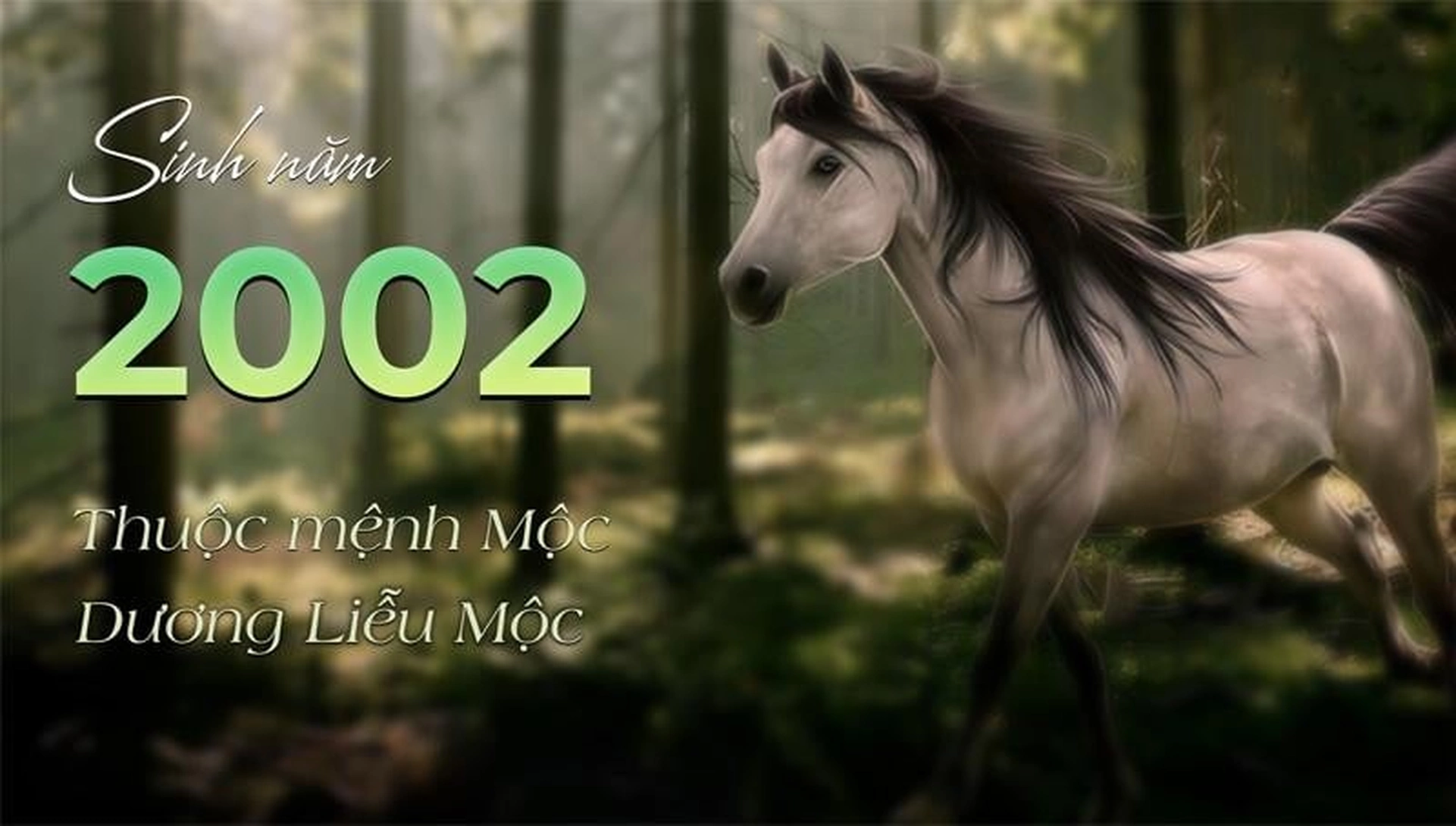Tuổi Nhâm Ngọ 2002 đặt tên con là gì để tăng thịnh vượng cho gia đình?