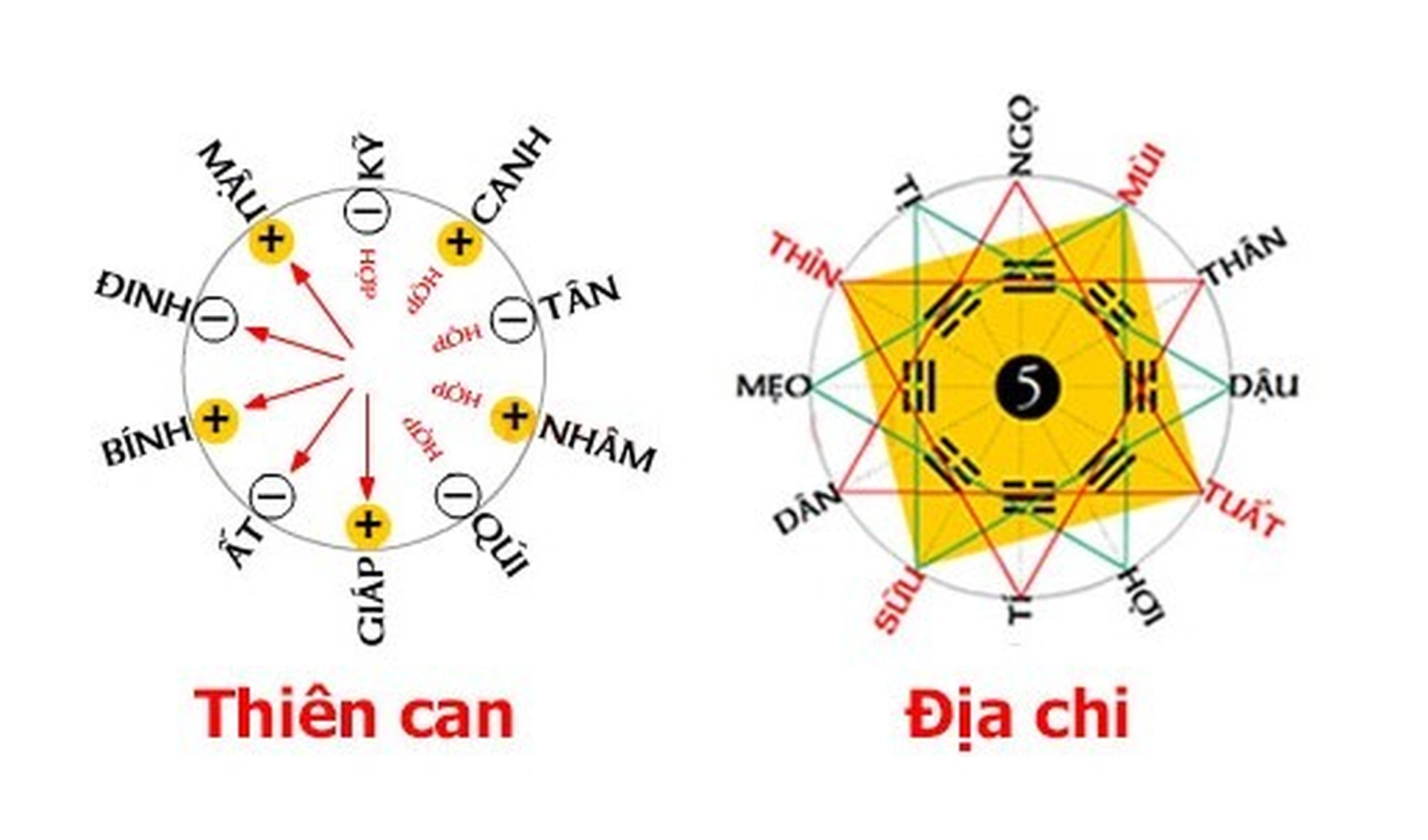 Nam Bính Tý 1996 lấy vợ tuổi nào để có cuộc sống sung túc, giàu sang năm 2025?