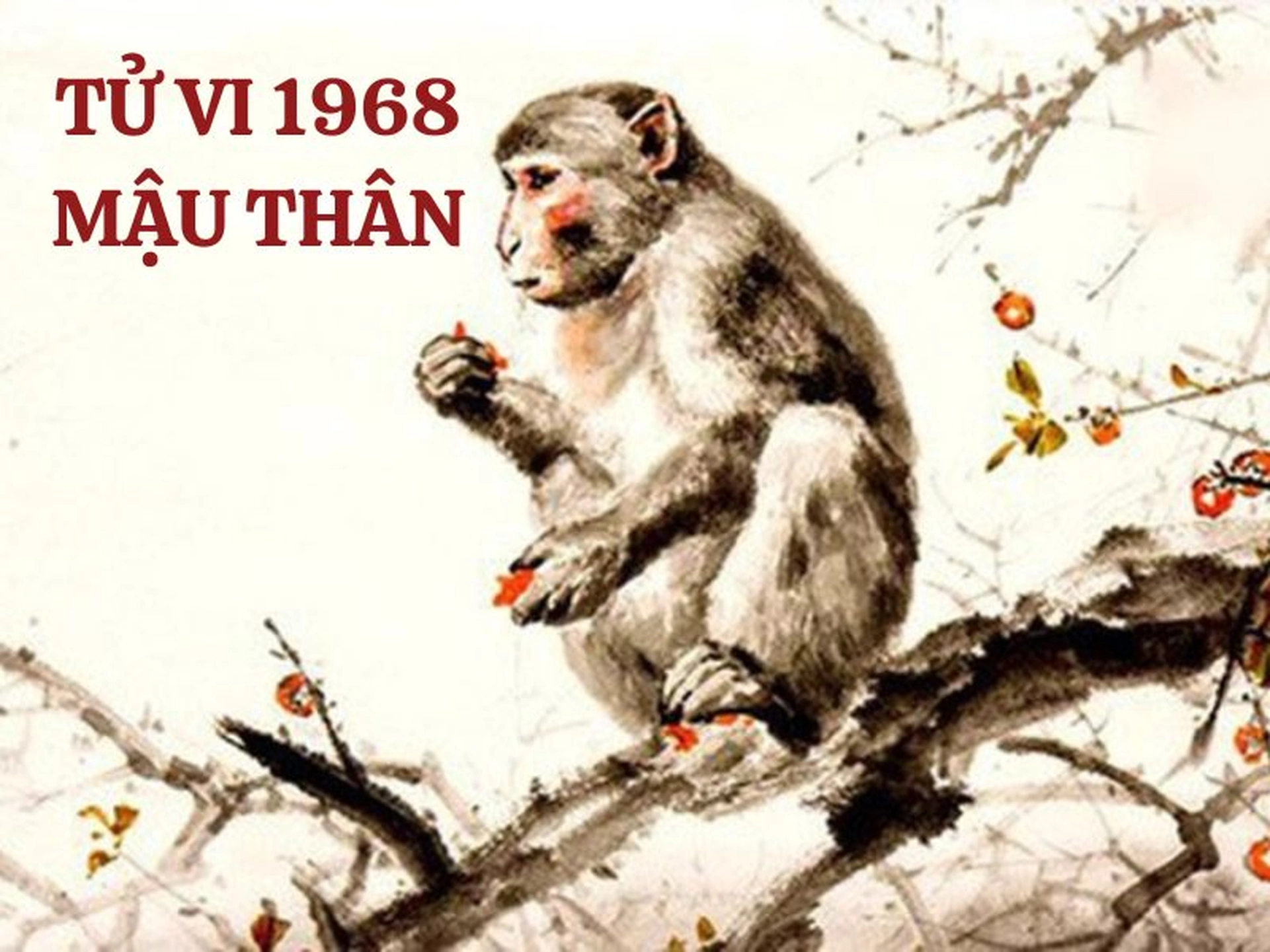 Hướng nhà hợp tuổi Mậu Thân 1968 nam mạng trong năm 2025
