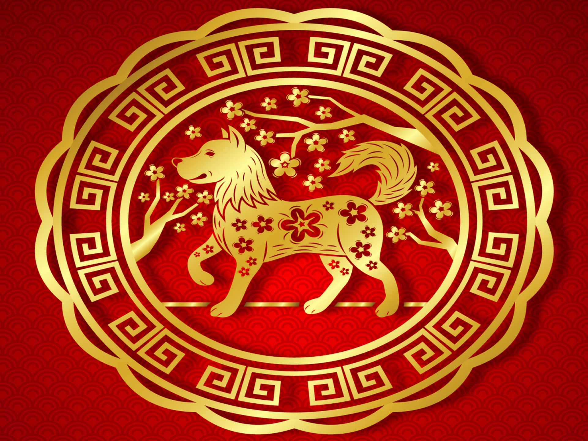 Vận trình tử vi tuổi Mậu Tuất 1958 trong tháng 12 năm 2024 Âm lịch