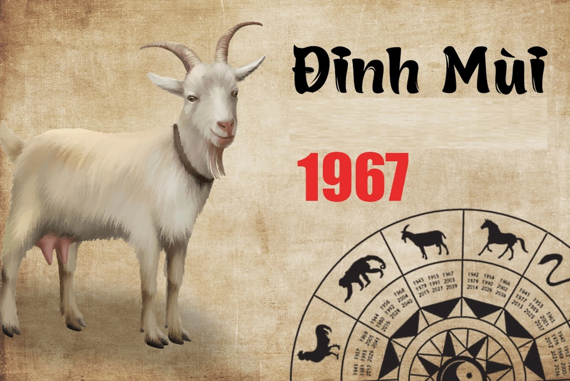 Vận trình tử vi tuổi Đinh Mùi 1967 trong tháng 12 năm 2024 Âm lịch