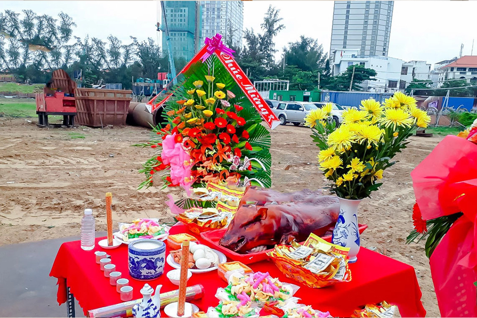Vận trình tử vi tuổi Nhâm Ngọ 2002 trong tháng 12 năm 2024 Âm lịch