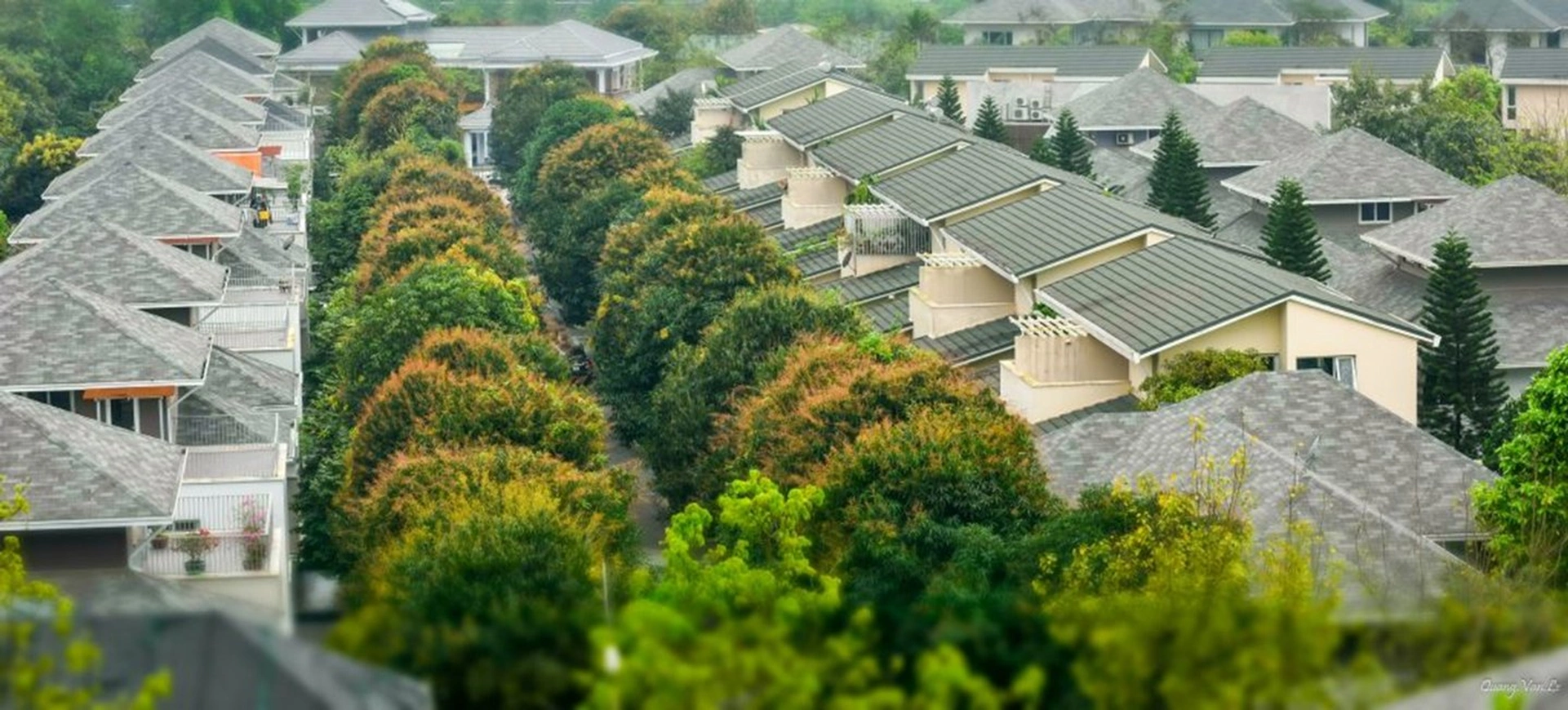 Biệt thự vườn tùng Ecopark: Thông tin chi tiết dành cho nhà đầu tư