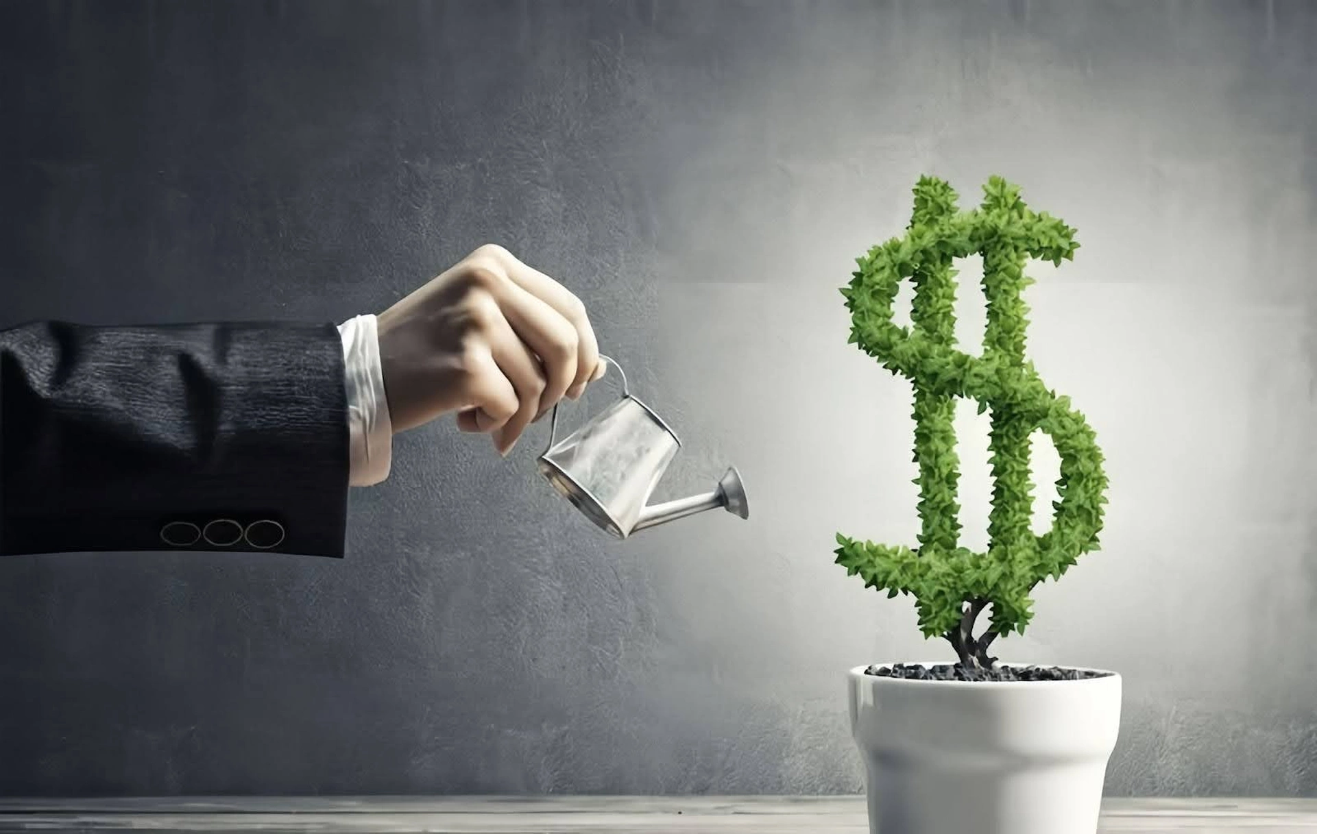 Quản lý tài sản là gì? Có các loại tài sản nào đáng chú ý?