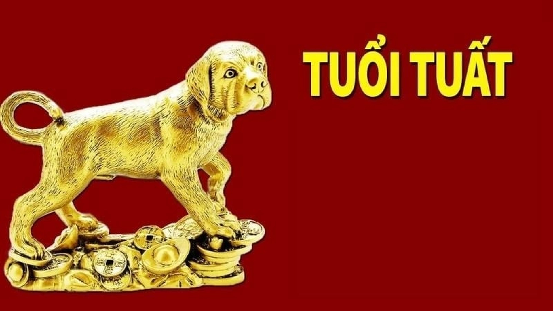 Tử vi 12 con giáp hôm nay 8/7/2025: Tuổi Dần vận may ngập tràn