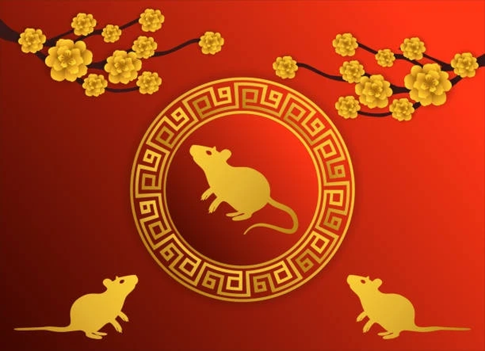 Tử vi 12 con giáp hôm nay 24/7/2025: Tuổi Tý cát khí lan tỏa