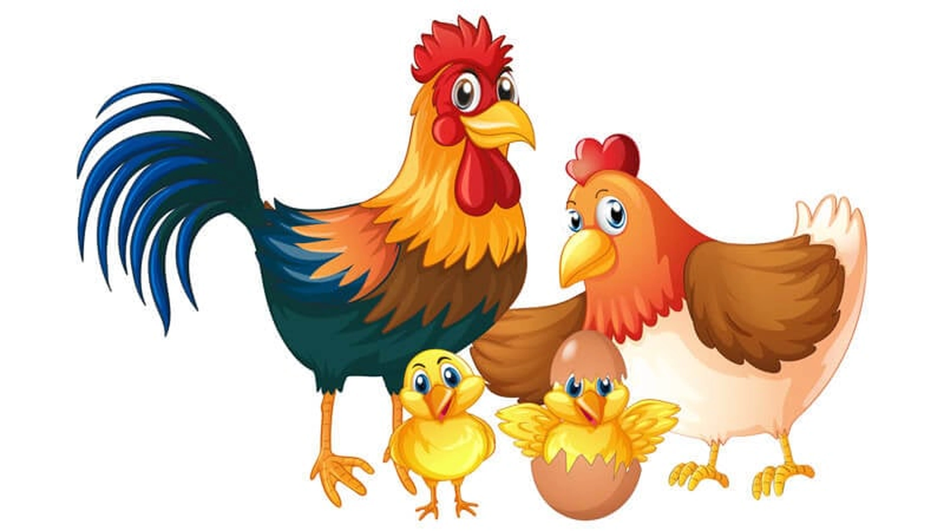 Tử vi 12 con giáp hôm nay 25/7/2025: Tuổi Dậu tài chính khởi sắc