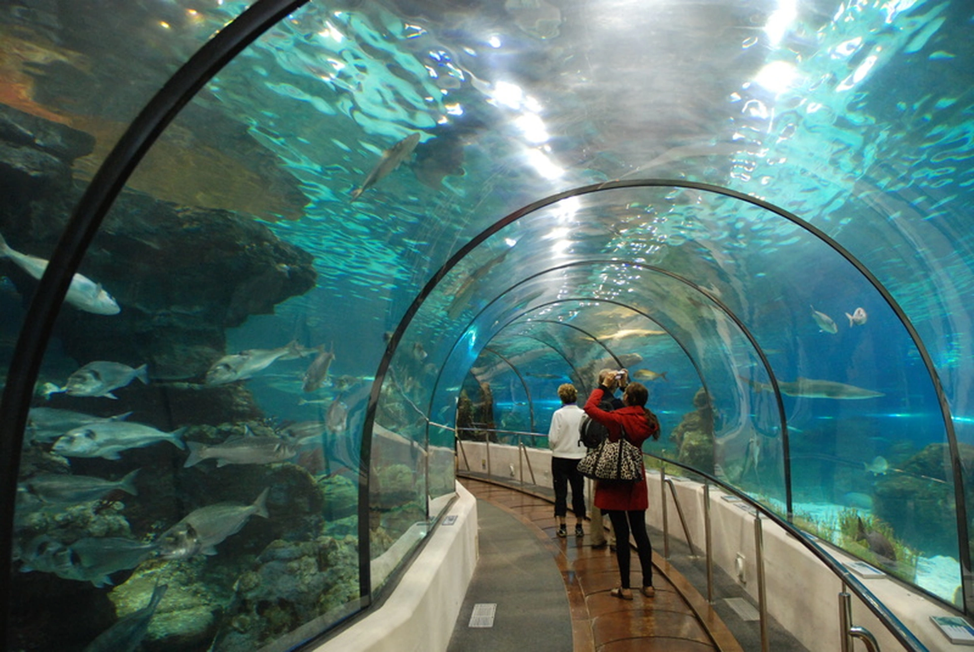 Chung cư Thăng Long Garden quận Hai Bà Trưng cách thủy cung Times City bao nhiêu km?