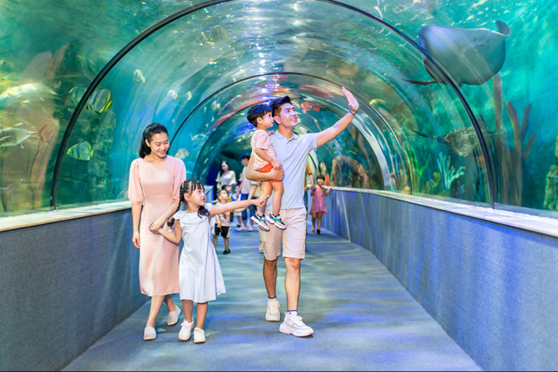 Chung cư Đồng Phát Park View Tower cách thủy cung Times City bao nhiêu km?